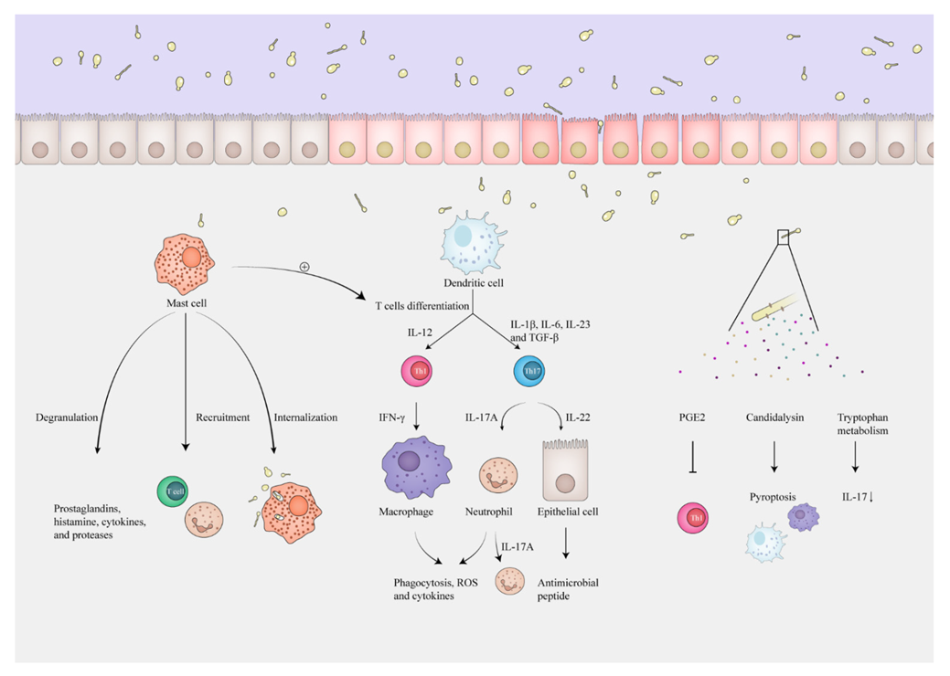 Toxins 14 00596 g002