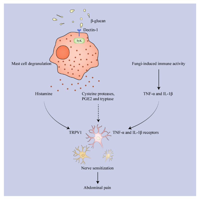 Toxins 14 00596 g003
