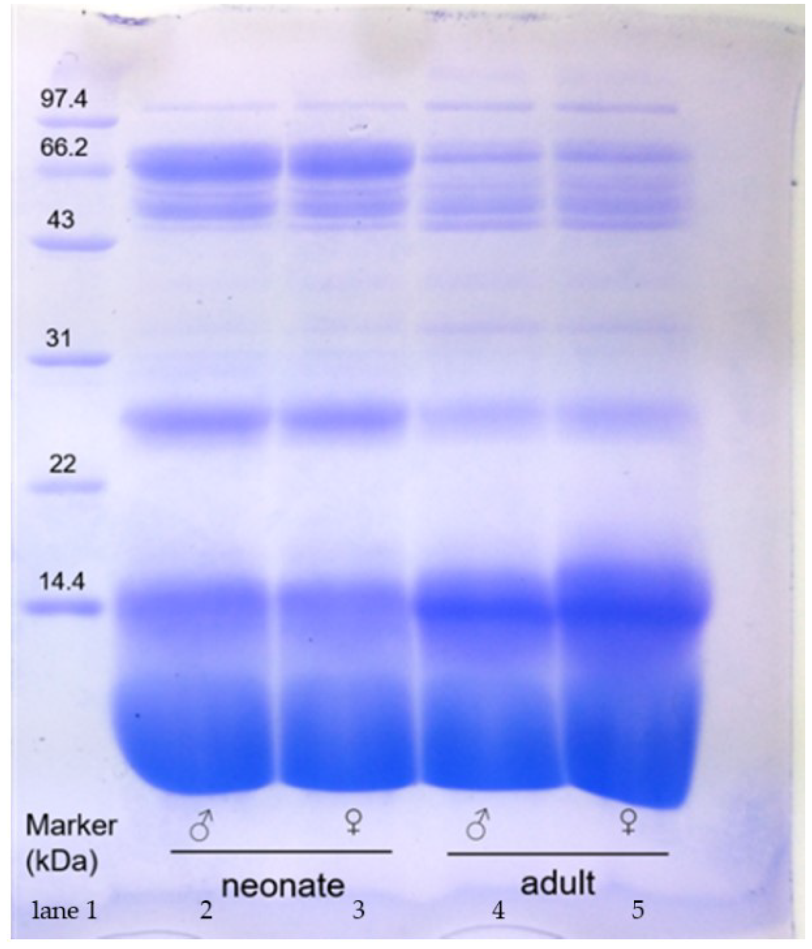 Toxins 14 00598 g001