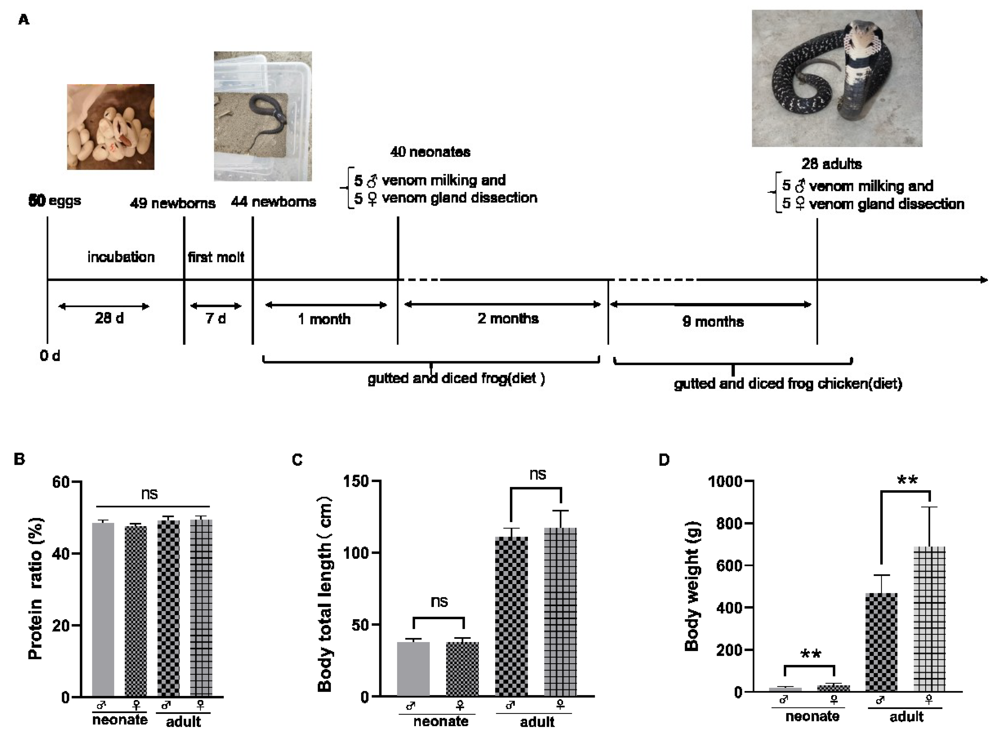 Toxins 14 00598 g002