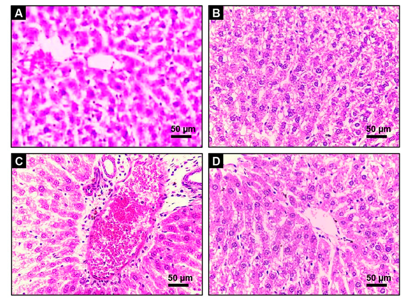 Toxins 14 00605 g007