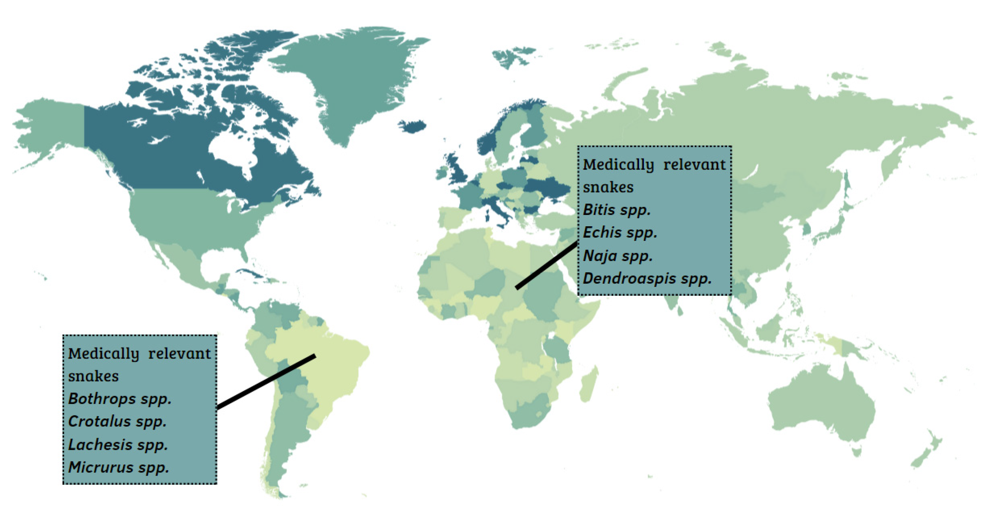 Toxins 14 00606 g001