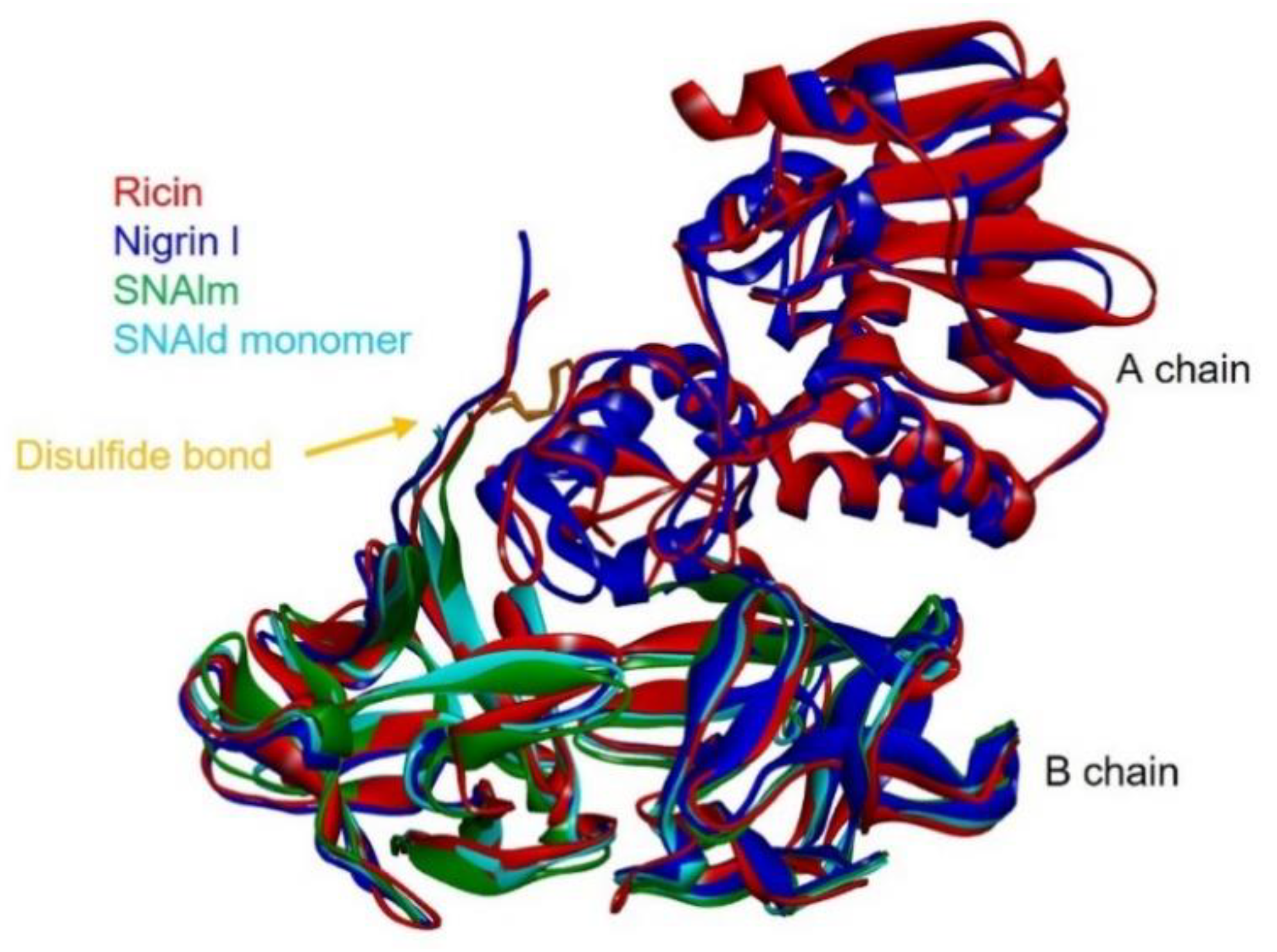 Toxins 14 00611 g008