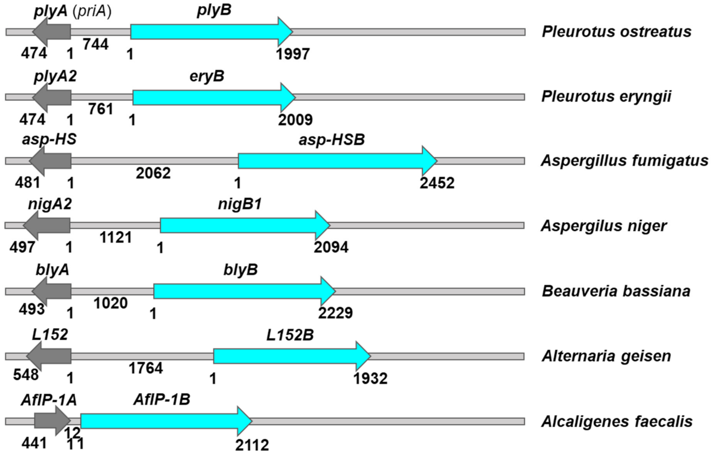 Toxins 14 00629 g003 Toxins 14 00629 g003