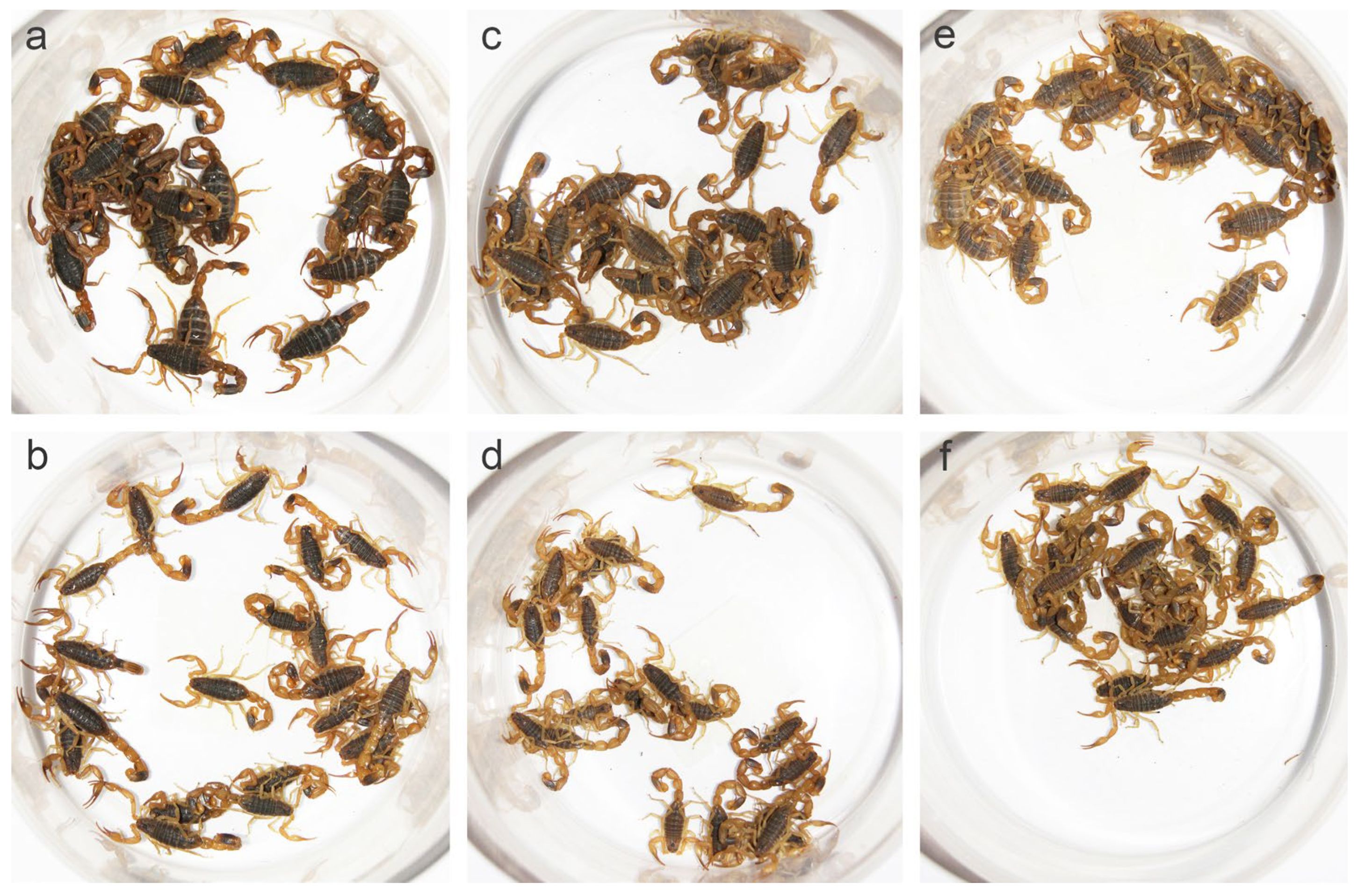 Toxins 14 00630 g002