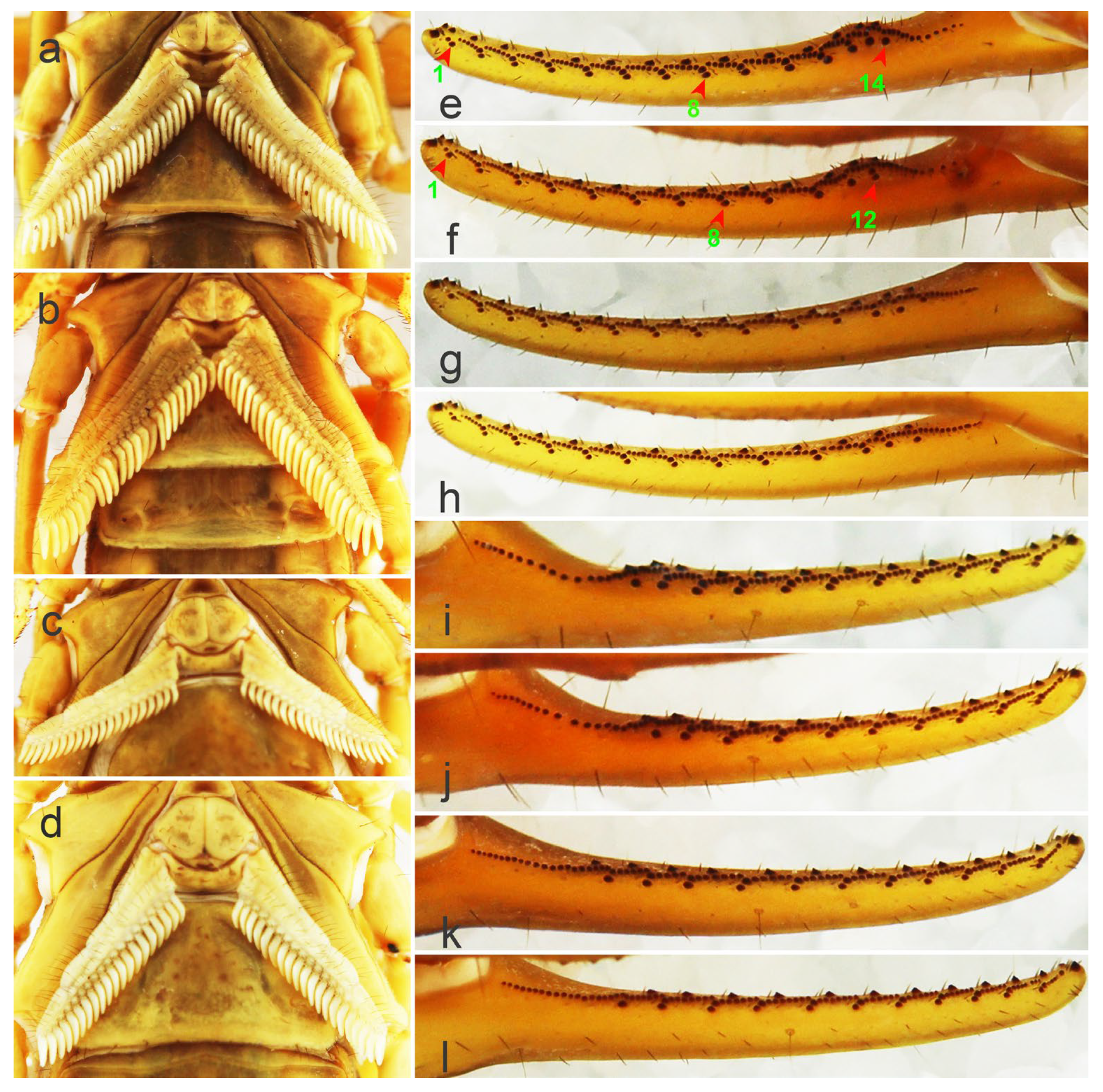 Toxins 14 00630 g004