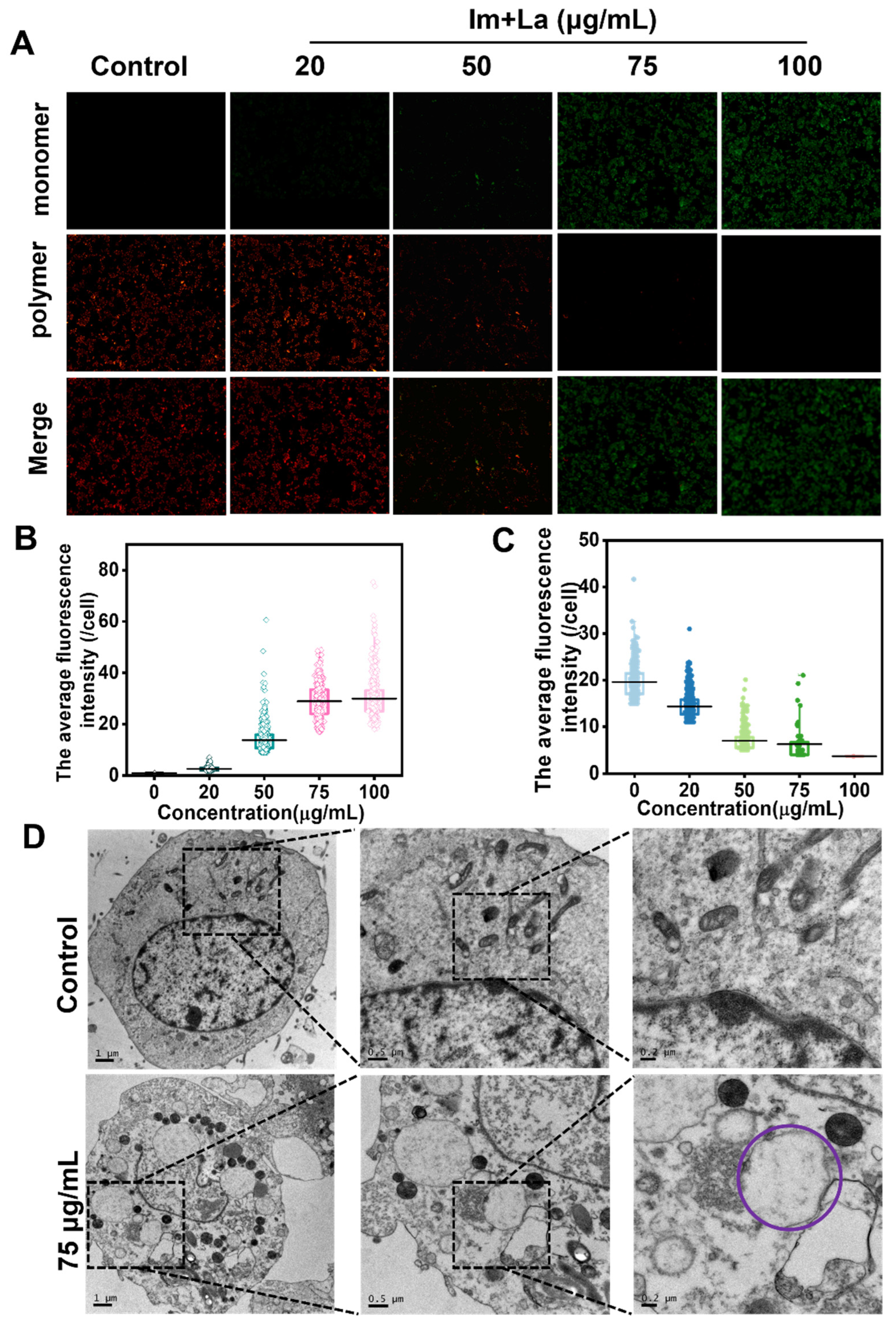 Toxins 14 00633 g006