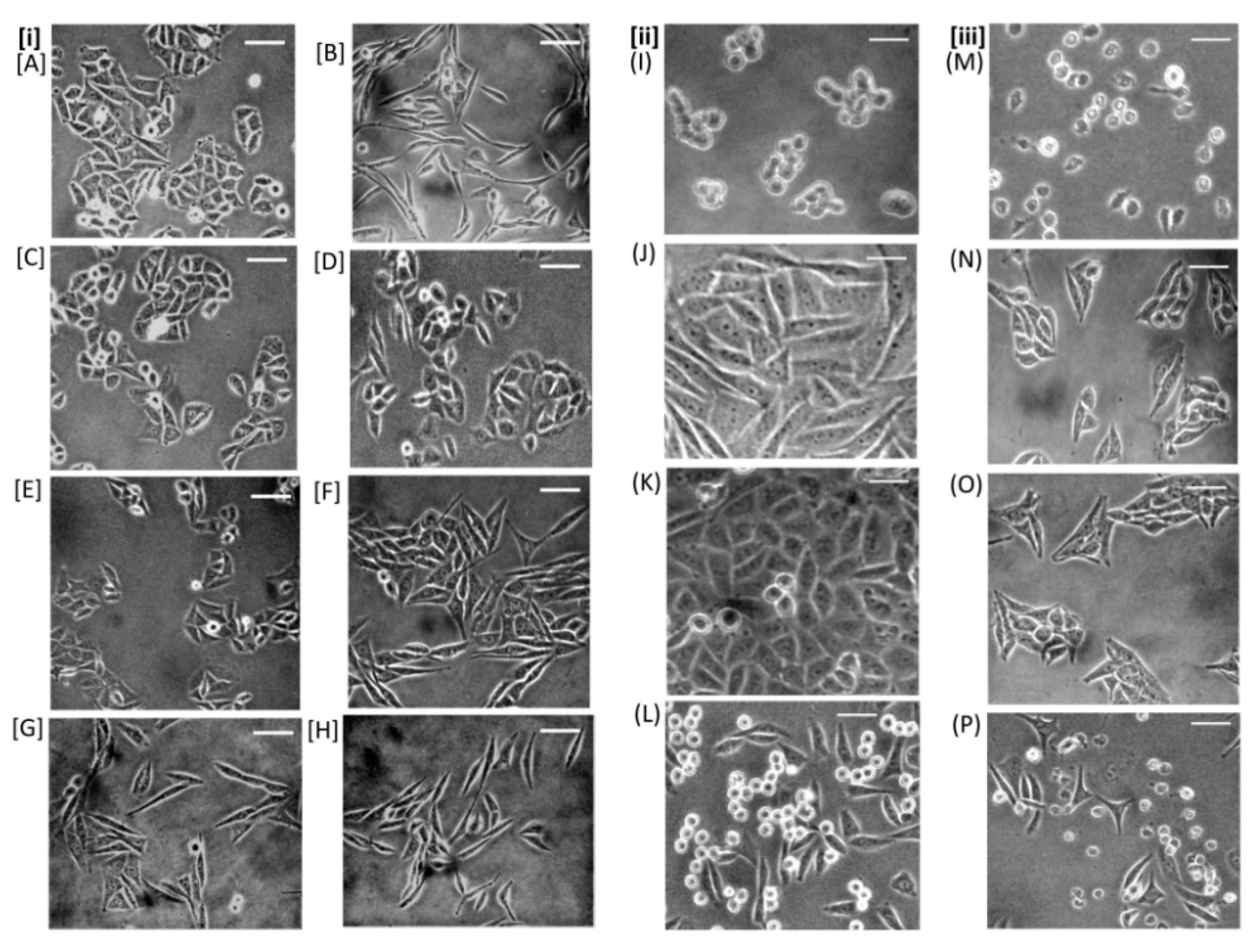 Toxins 14 00649 g005 Toxins 14 00649 g005