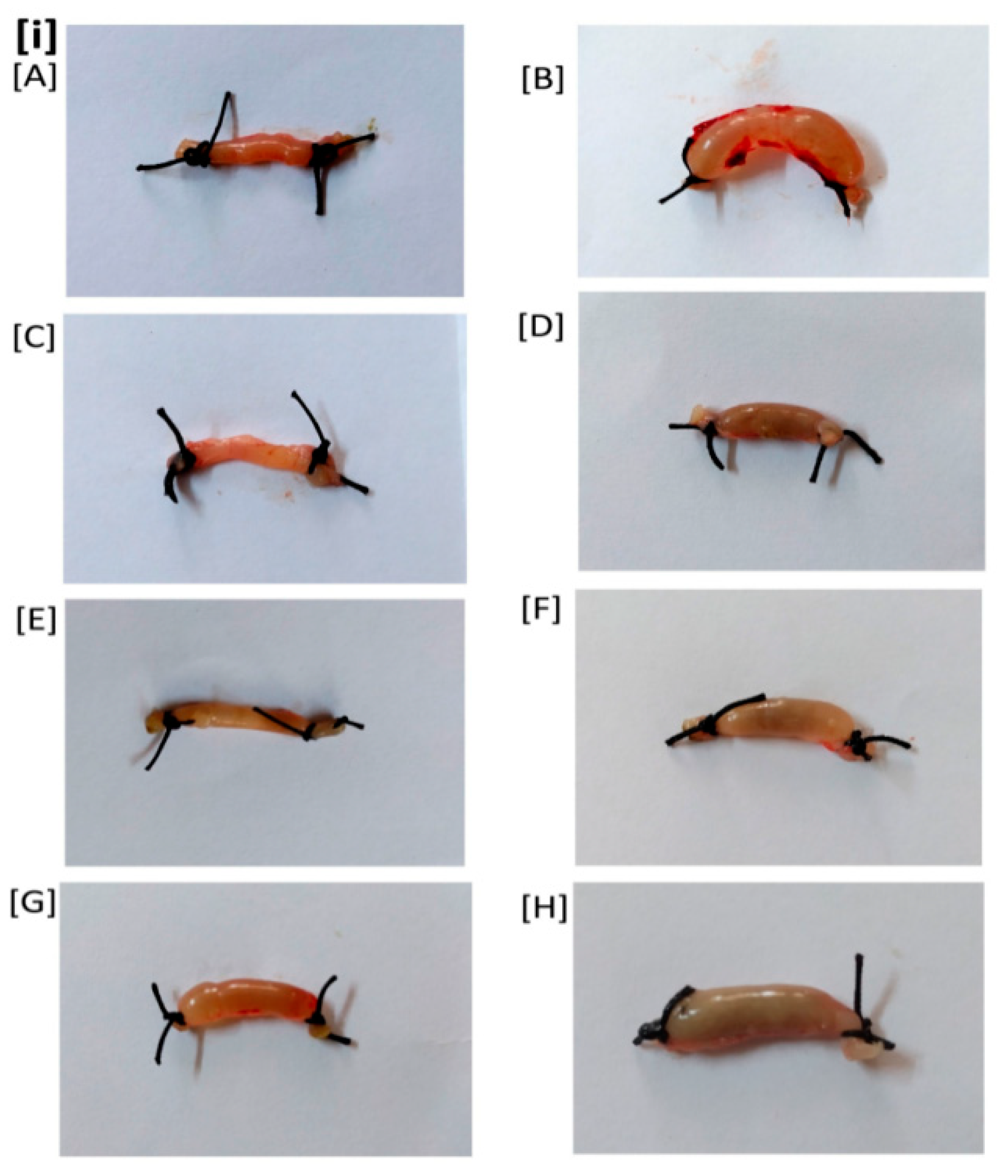 Toxins 14 00649 g006a Toxins 14 00649 g006a