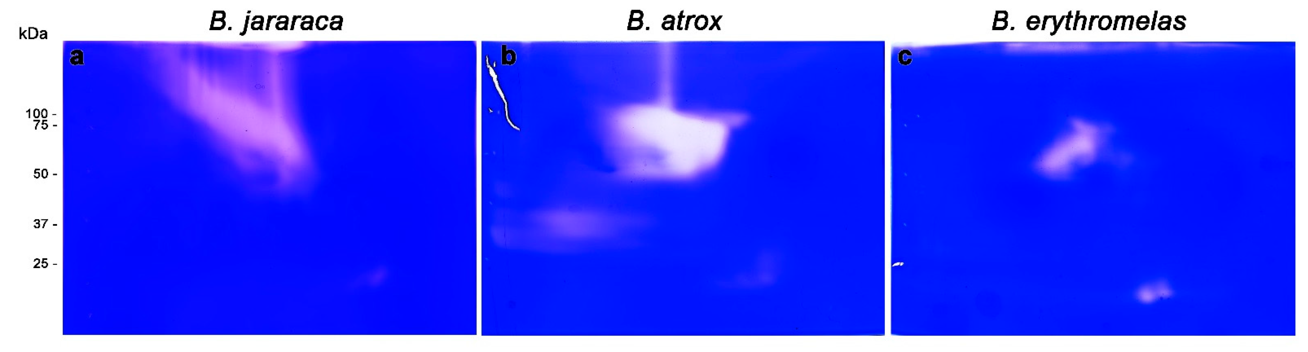 Toxins 14 00661 g006