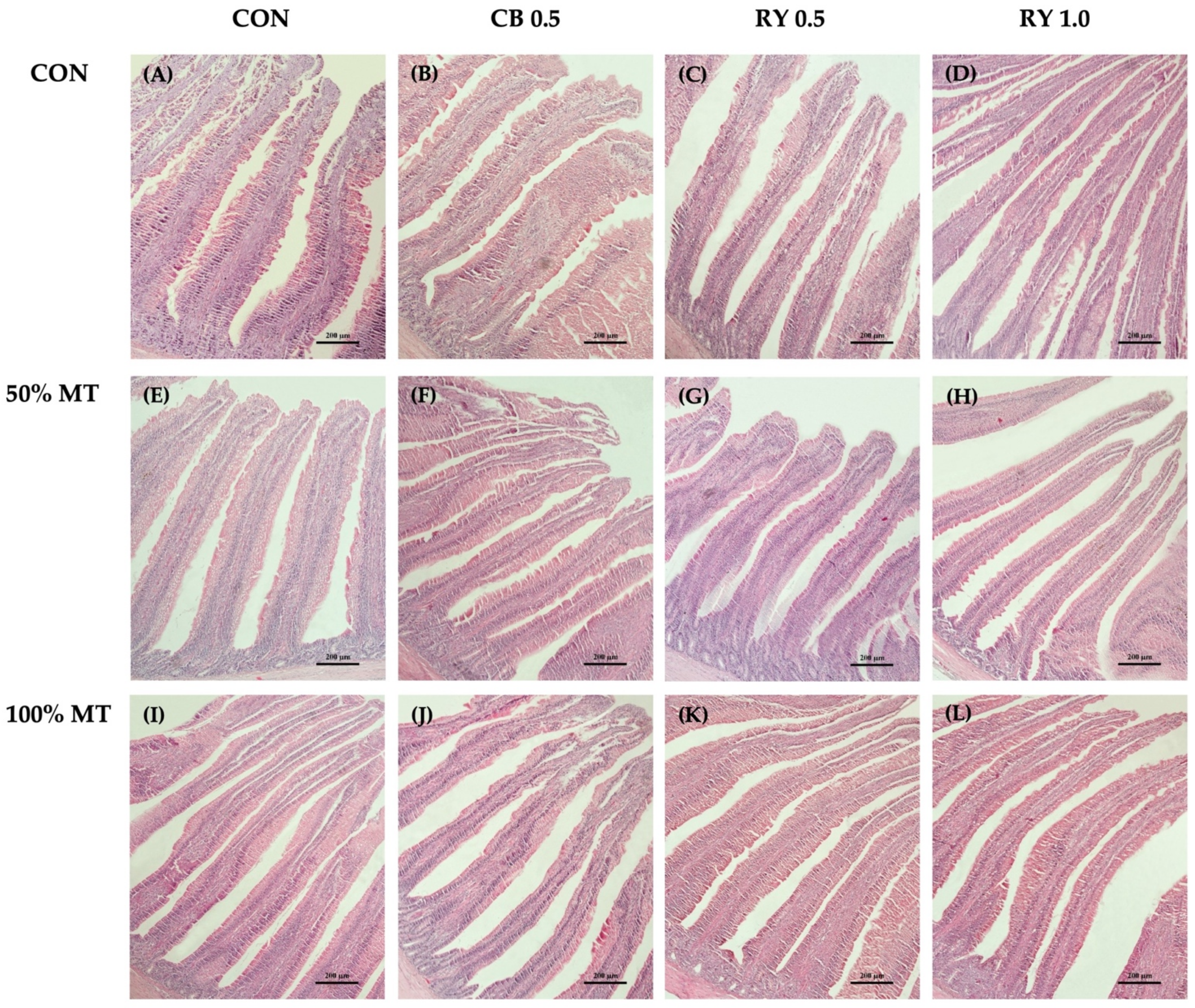 Toxins 14 00678 g003