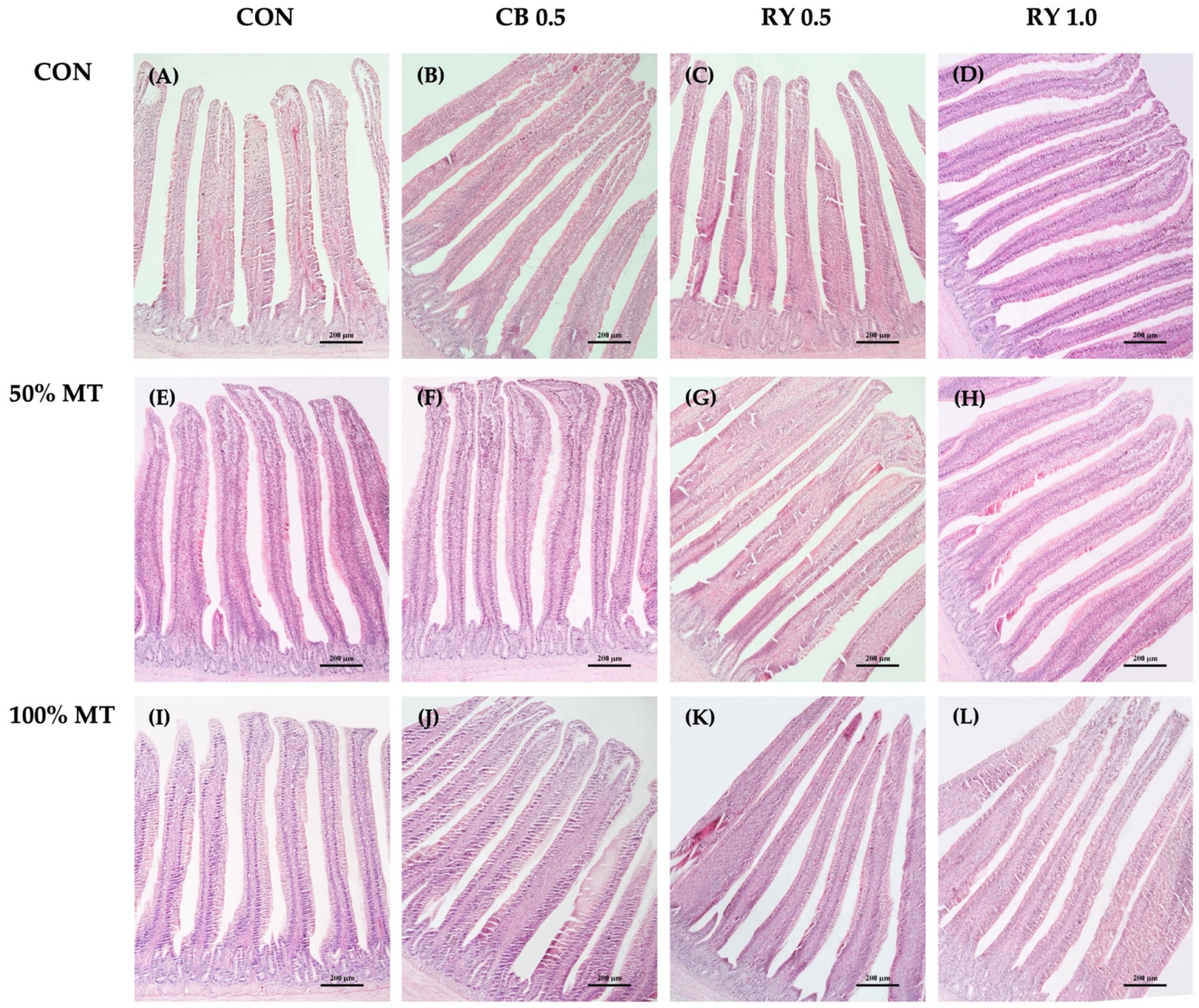 Toxins 14 00678 g004