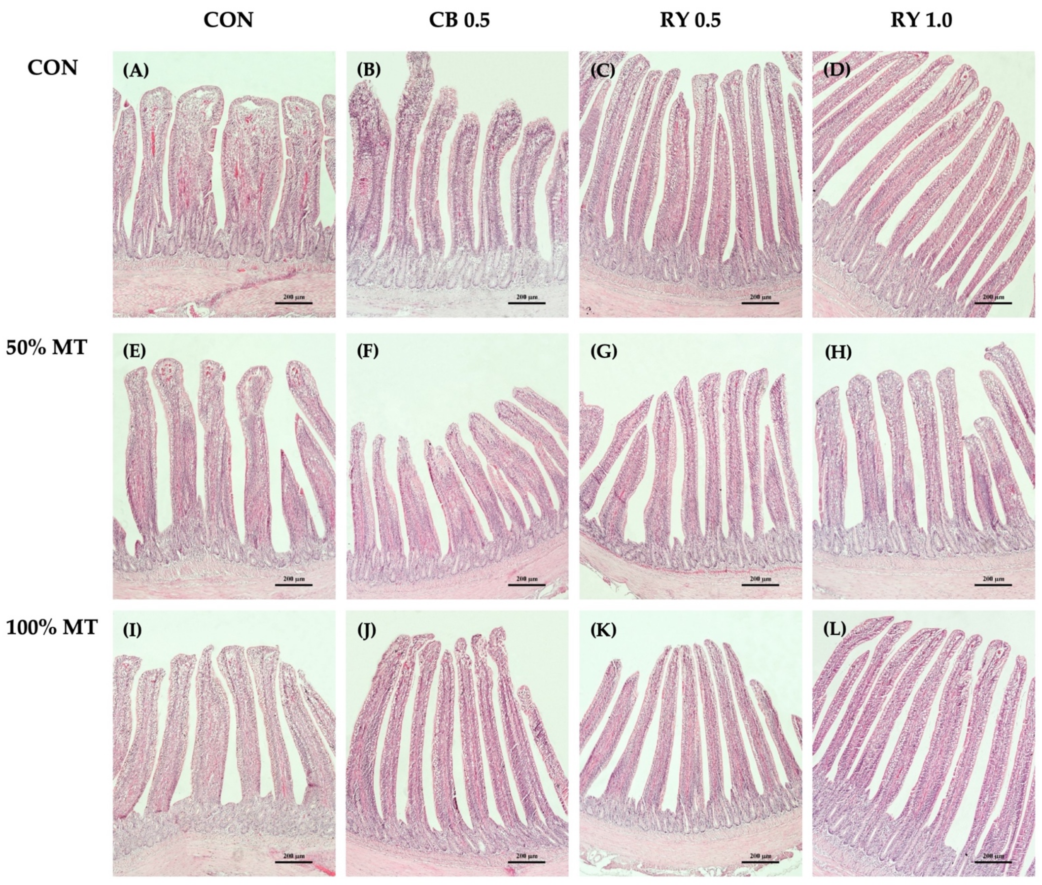 Toxins 14 00678 g005
