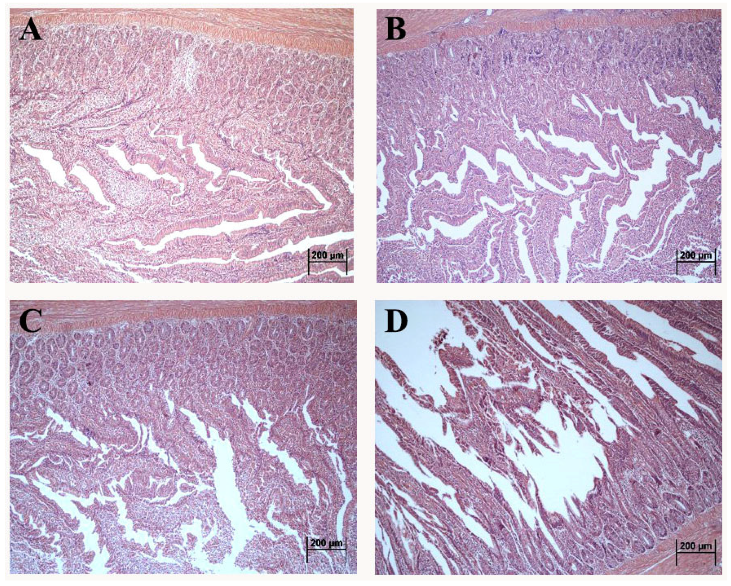 Toxins 14 00682 g001