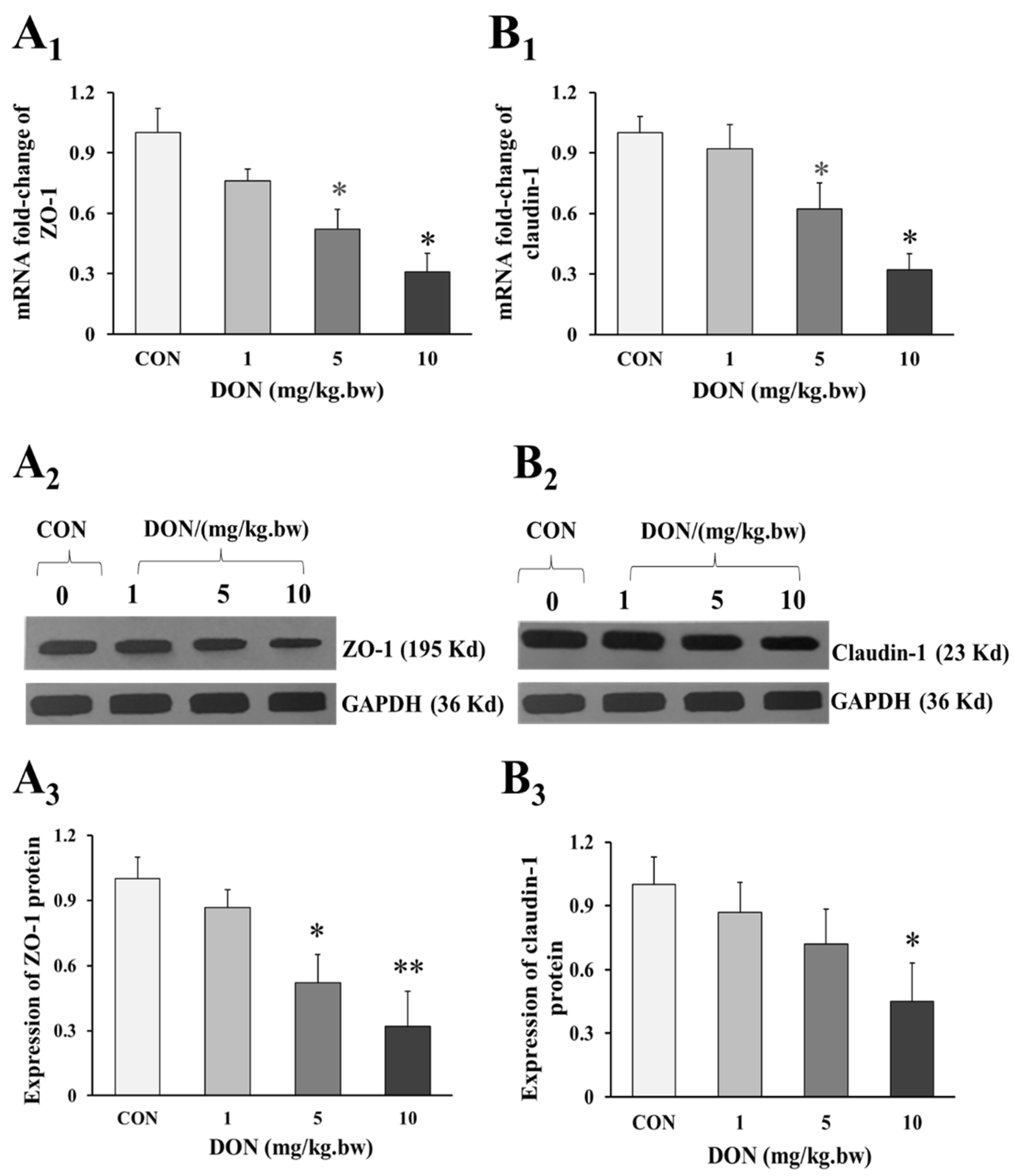 Toxins 14 00682 g003