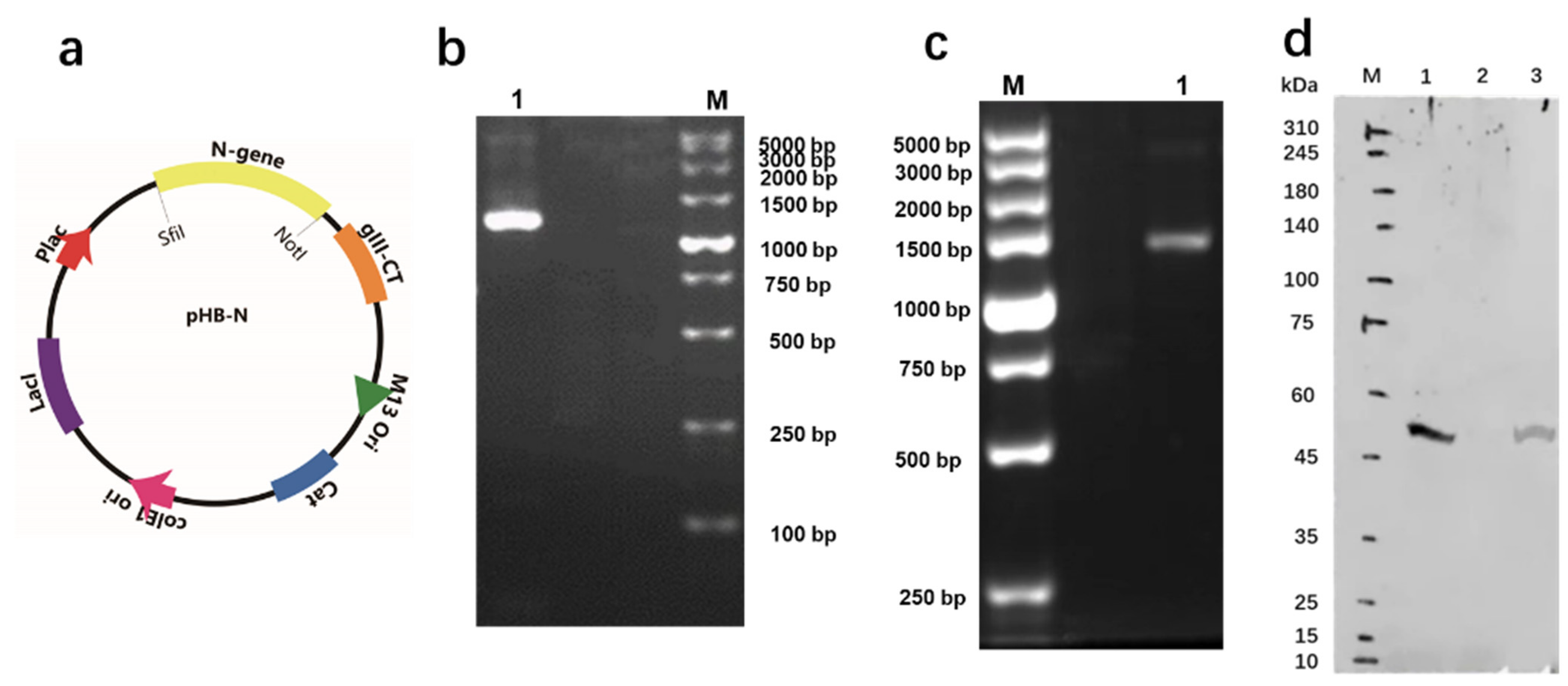 Toxins 14 00683 g002