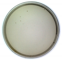 Toxins 14 00683 i003