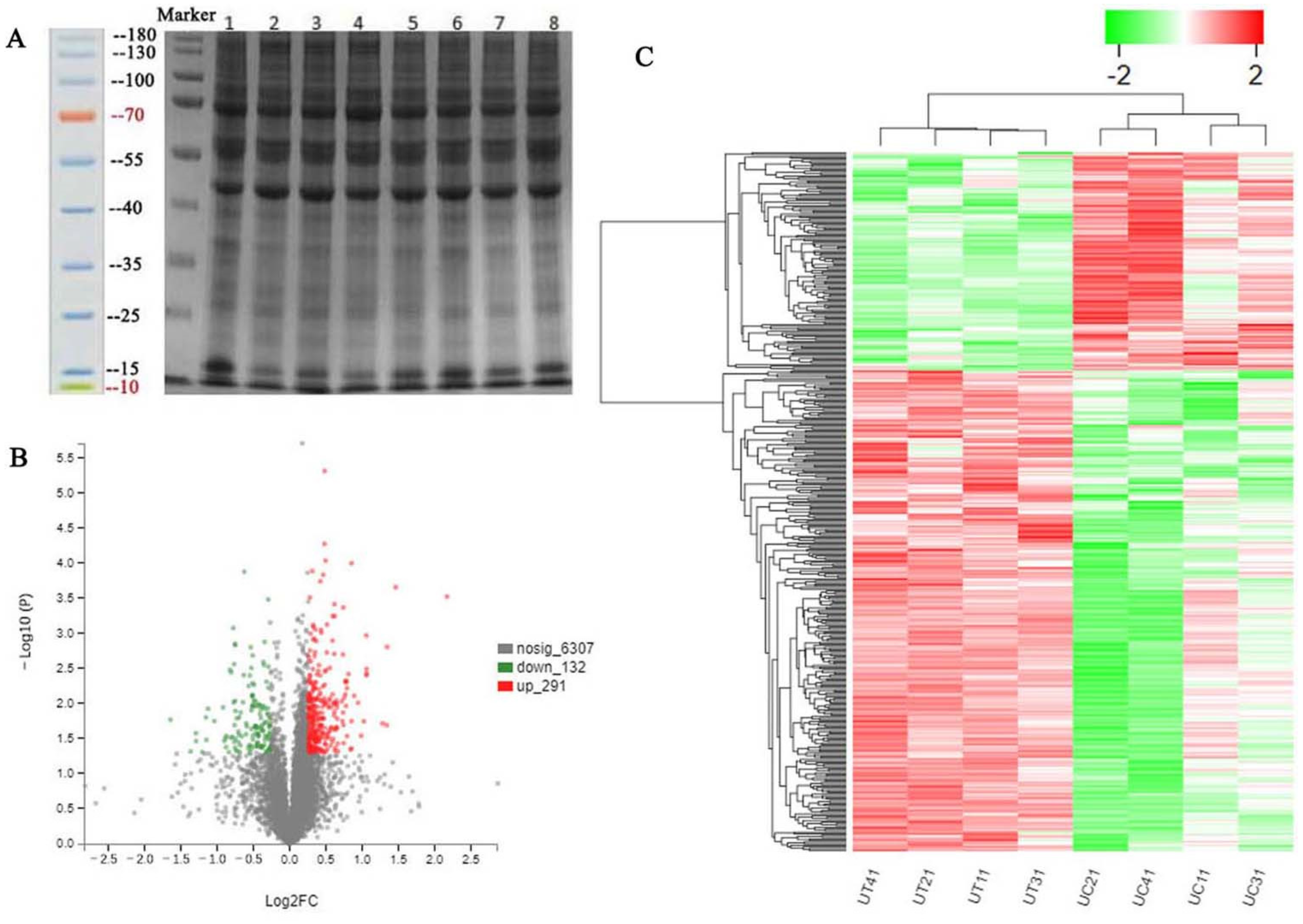 Toxins 14 00692 g002