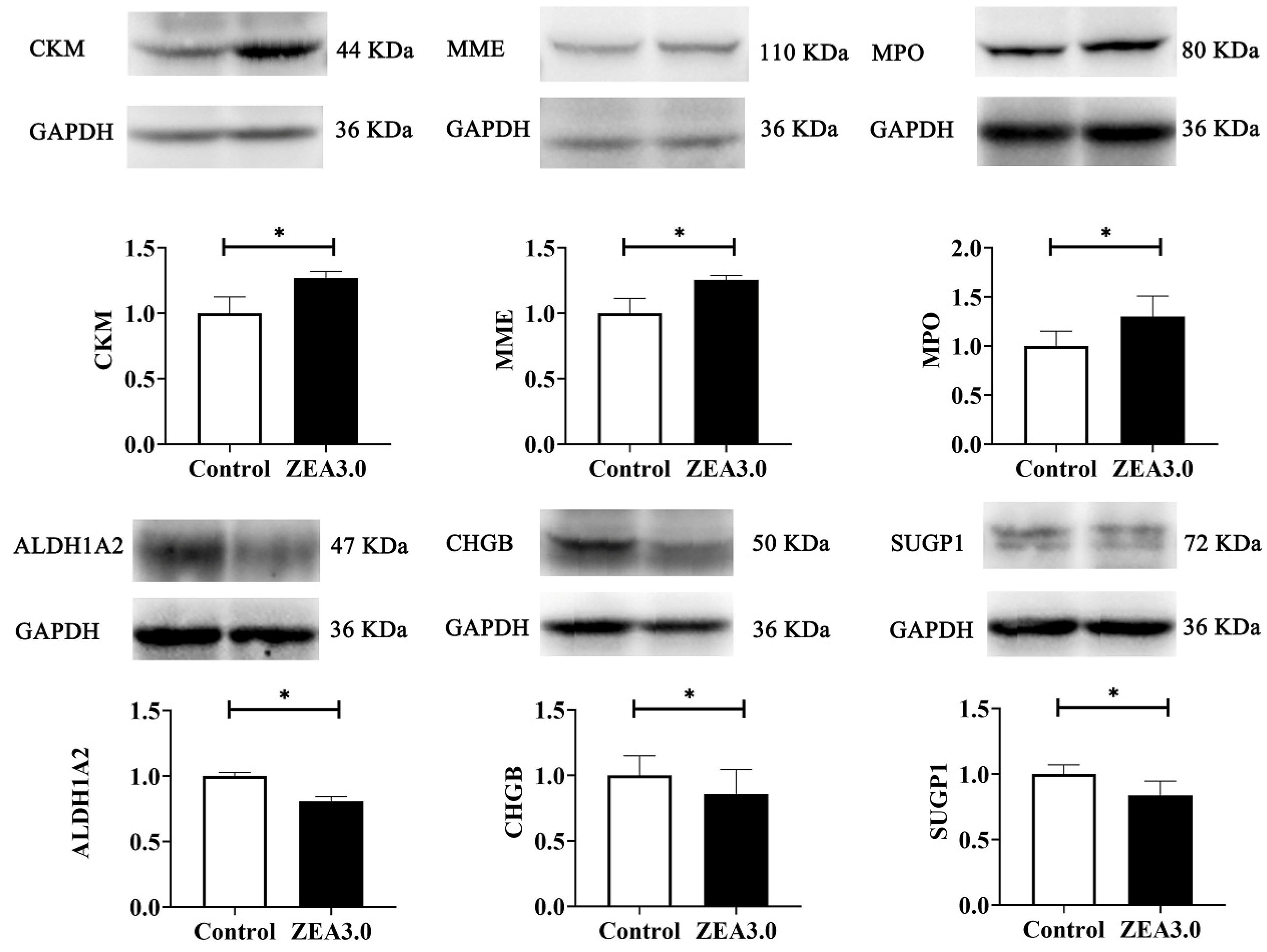 Toxins 14 00692 g005