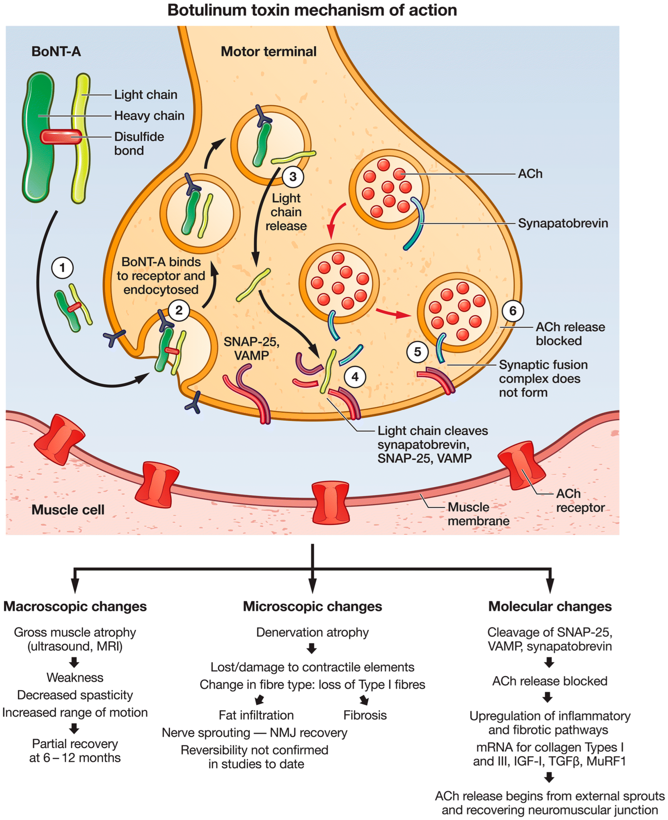 Toxins 14 00701 g001