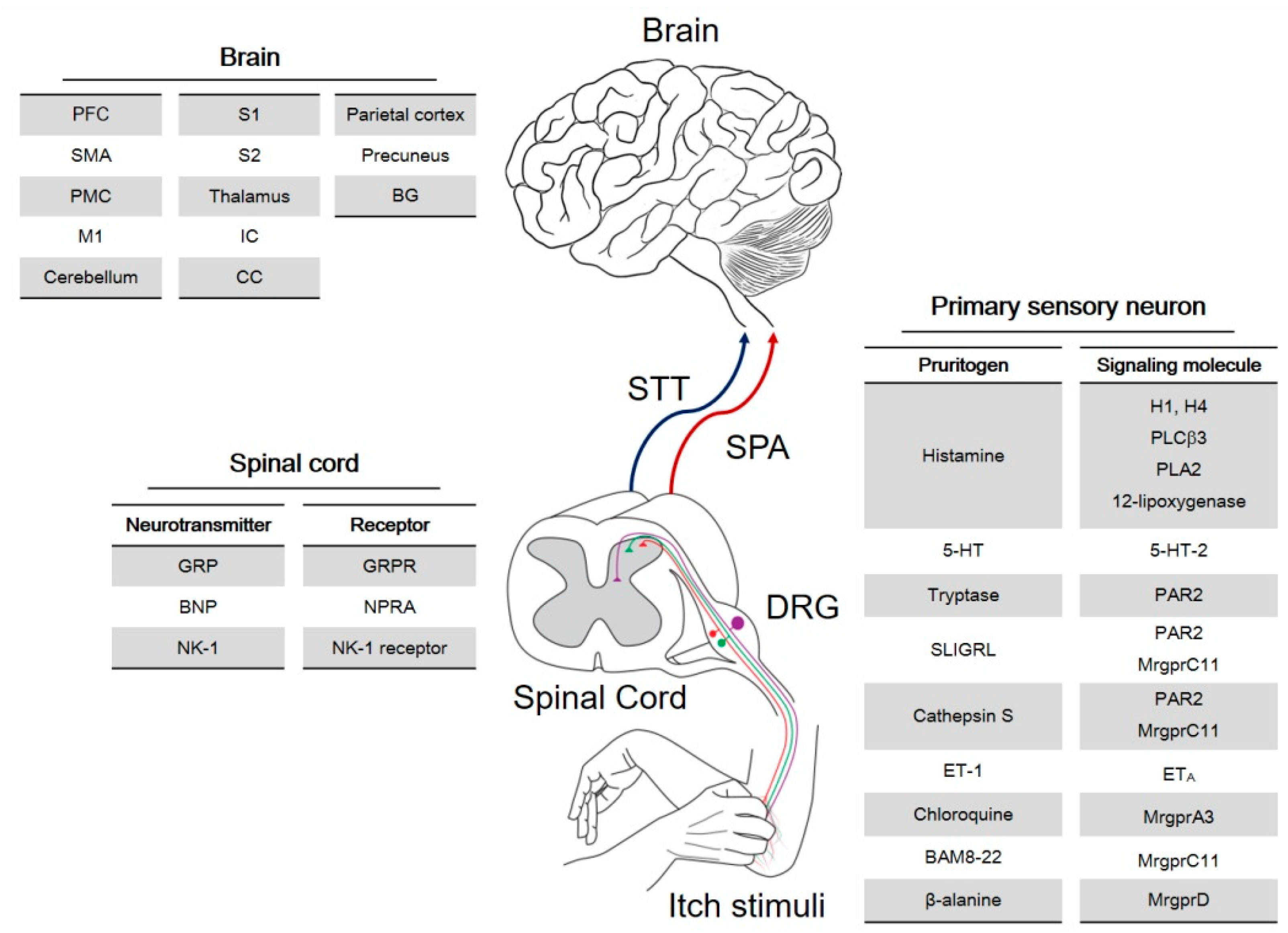 Toxins 14 00701 g002
