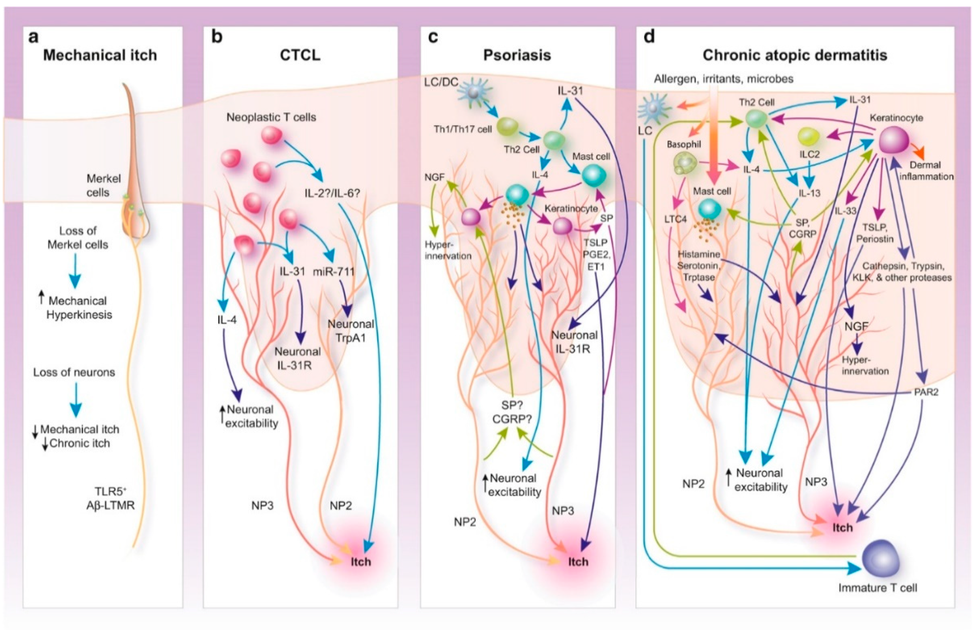 Toxins 14 00701 g003