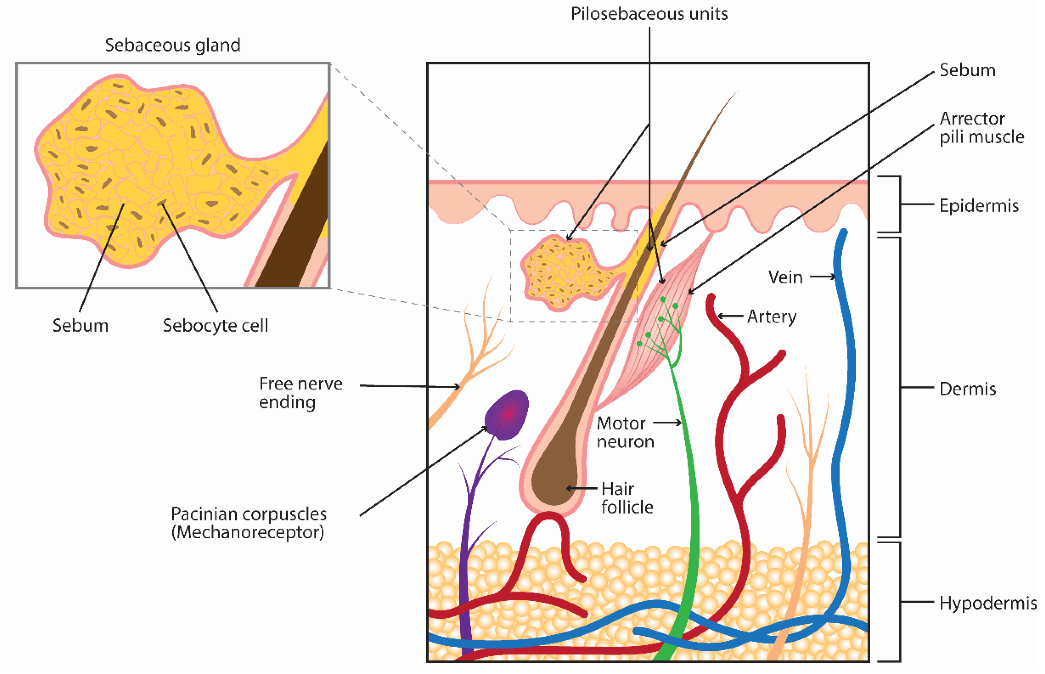Toxins 14 00708 g001