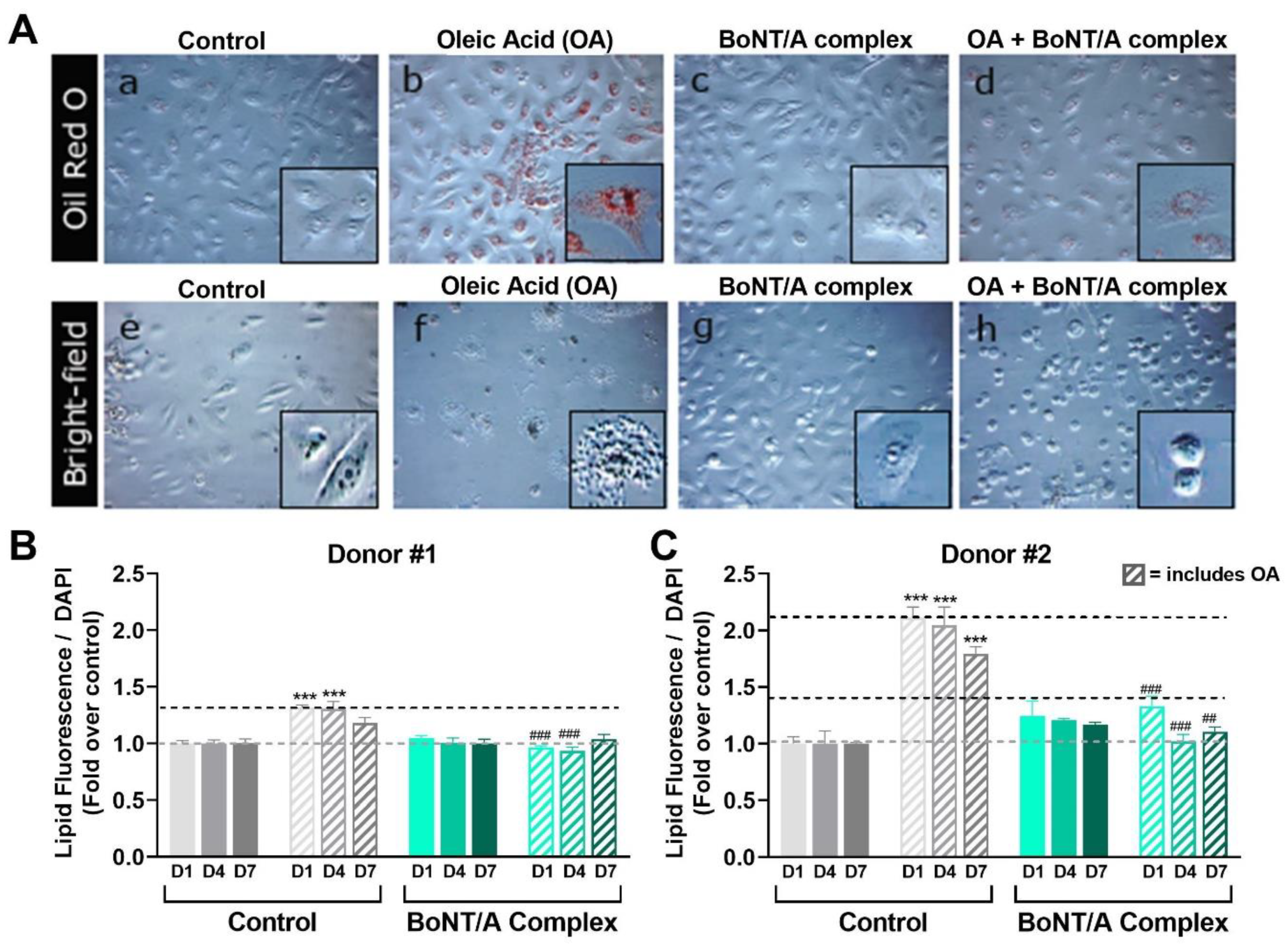 Toxins 14 00708 g008