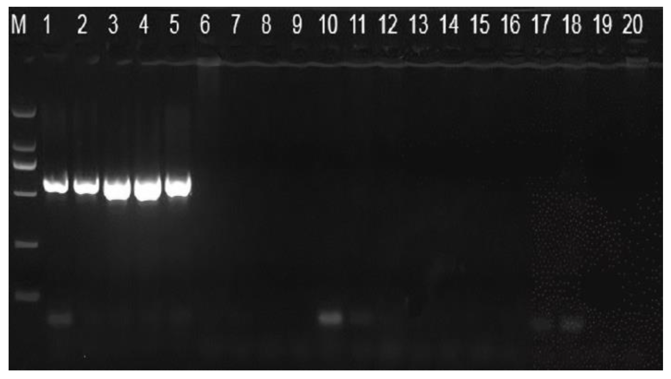 Toxins 14 00718 g001