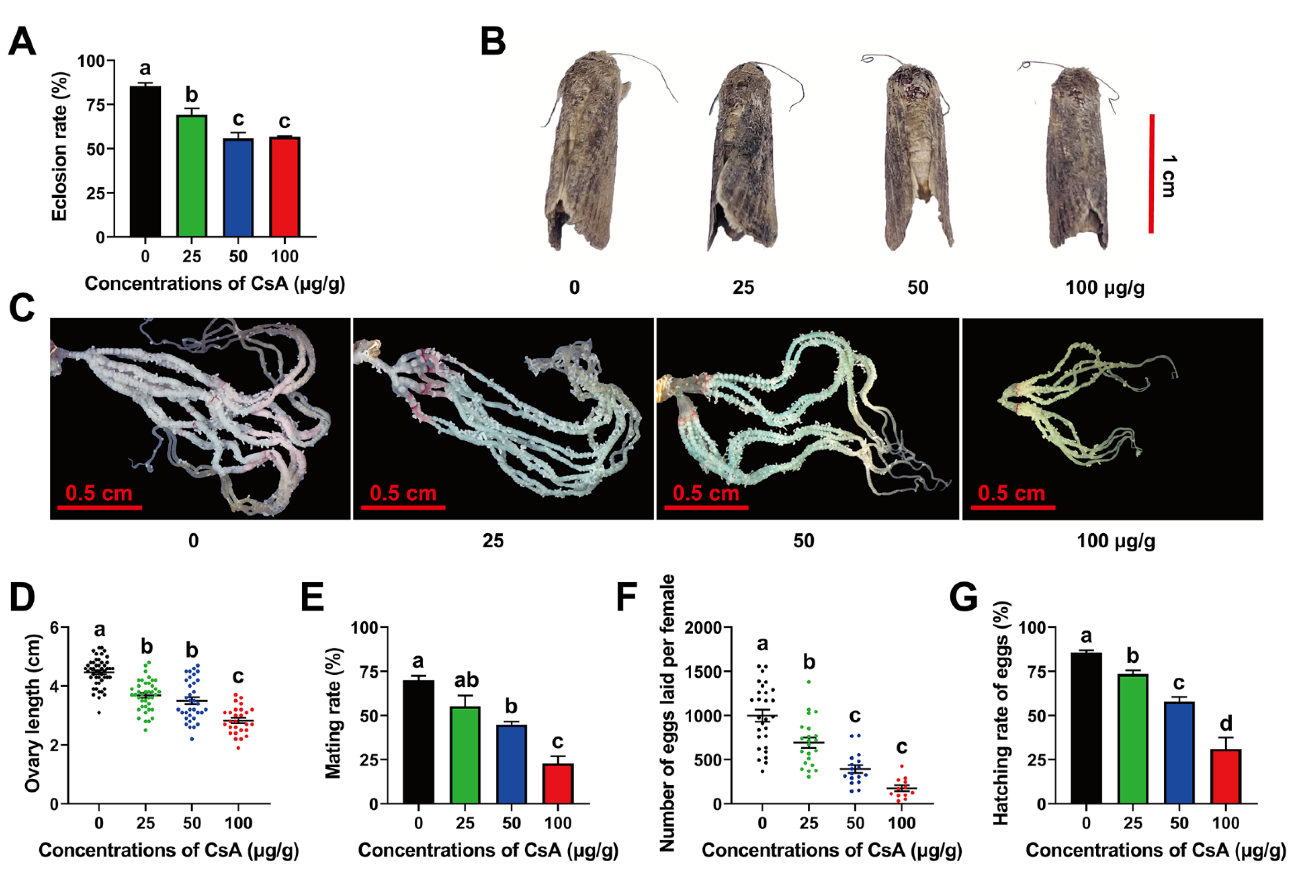 Toxins 14 00721 g005 Toxins 14 00721 g005