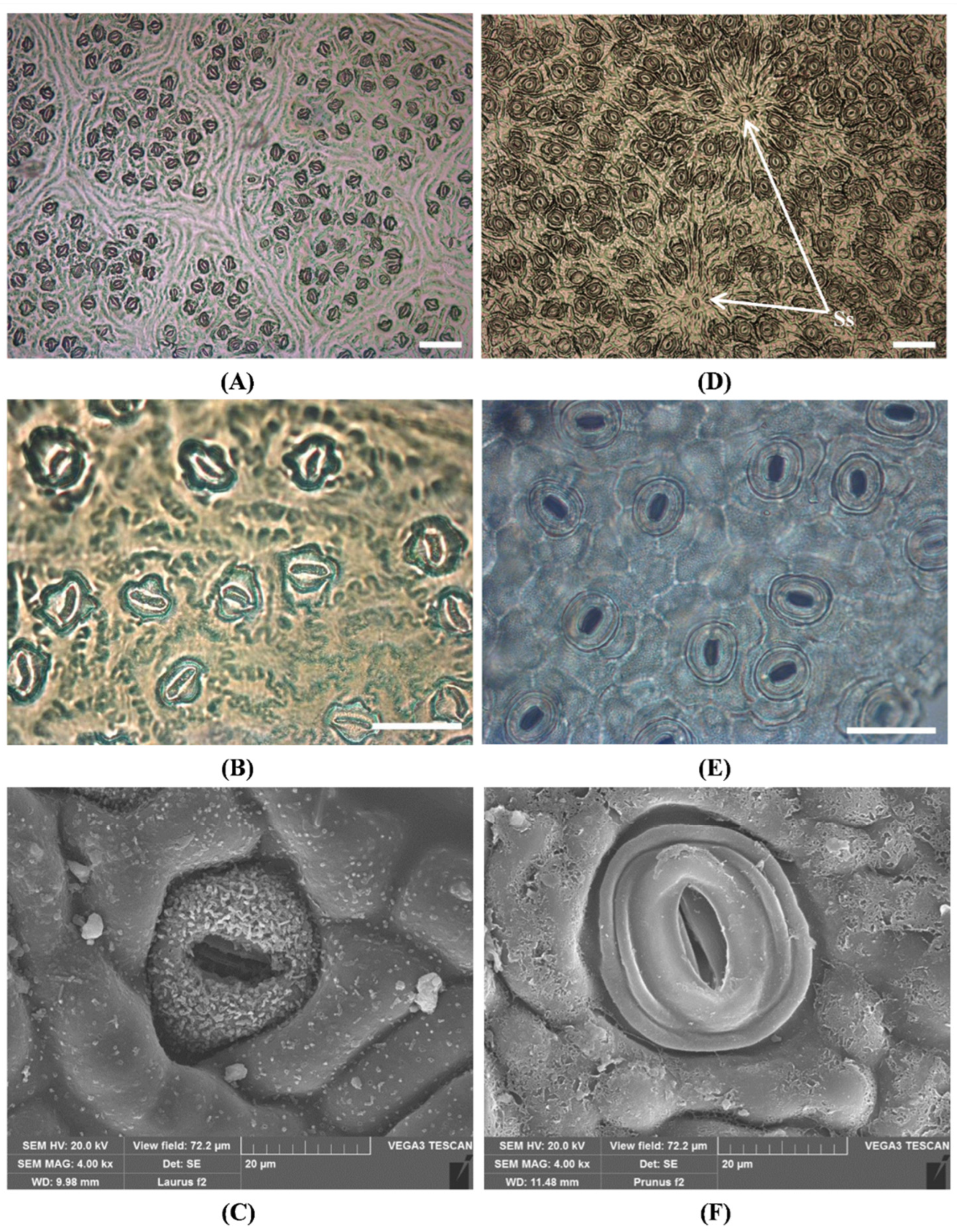 Toxins 14 00726 g003