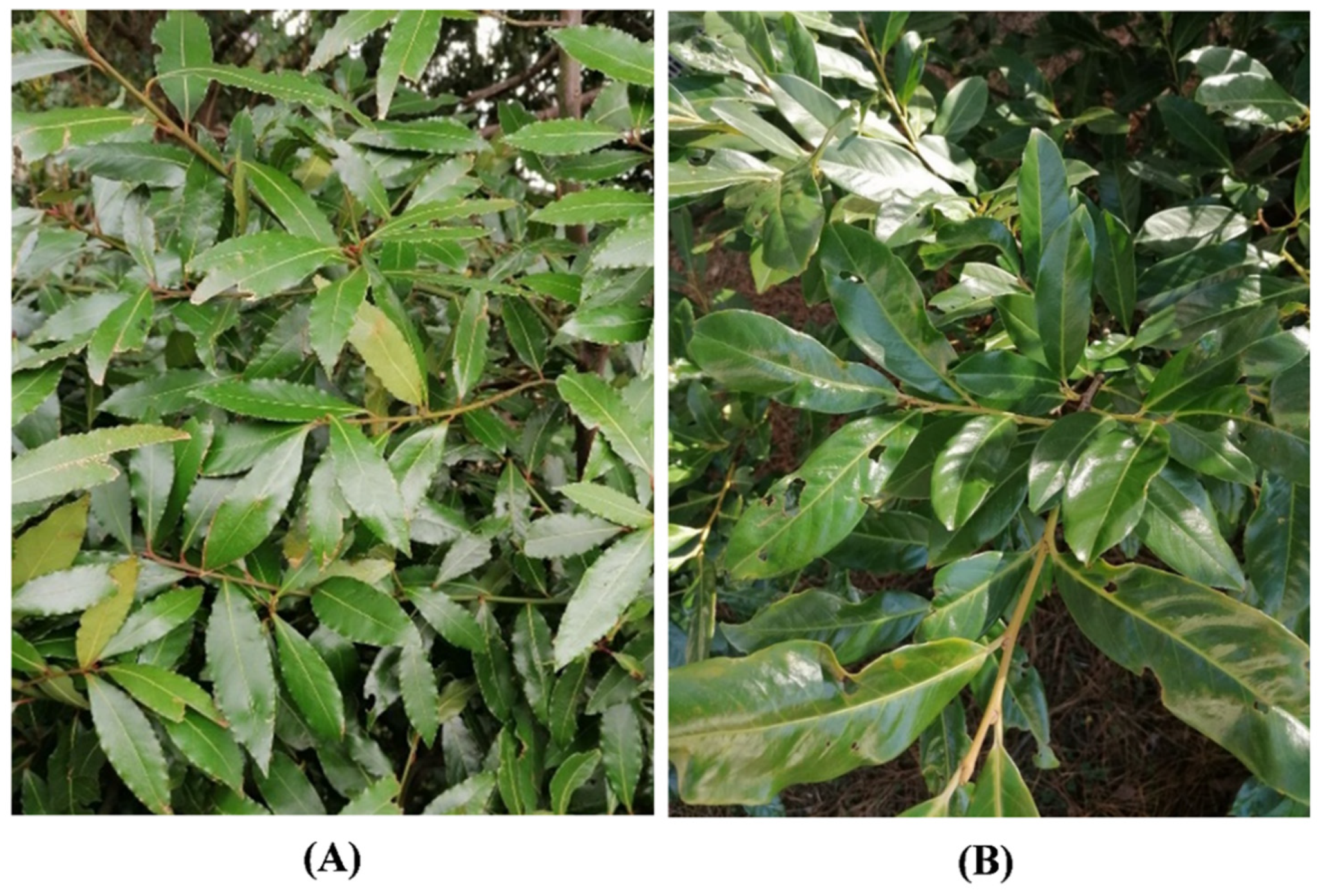 Toxins 14 00726 g009