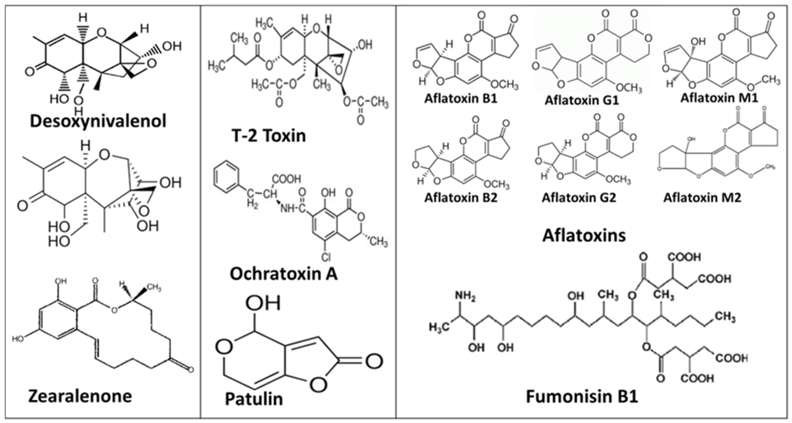 Toxins 14 00729 g001