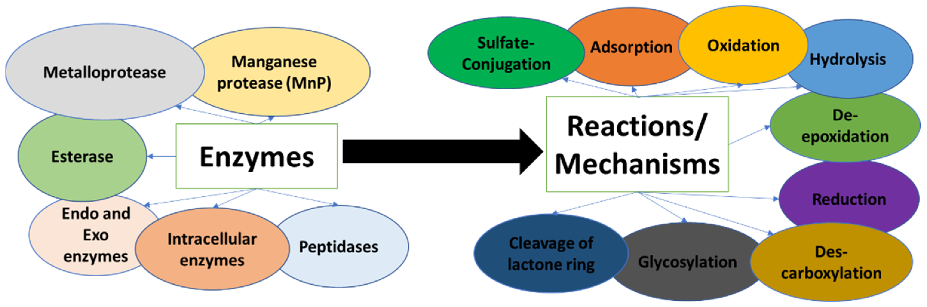 Toxins 14 00729 g002