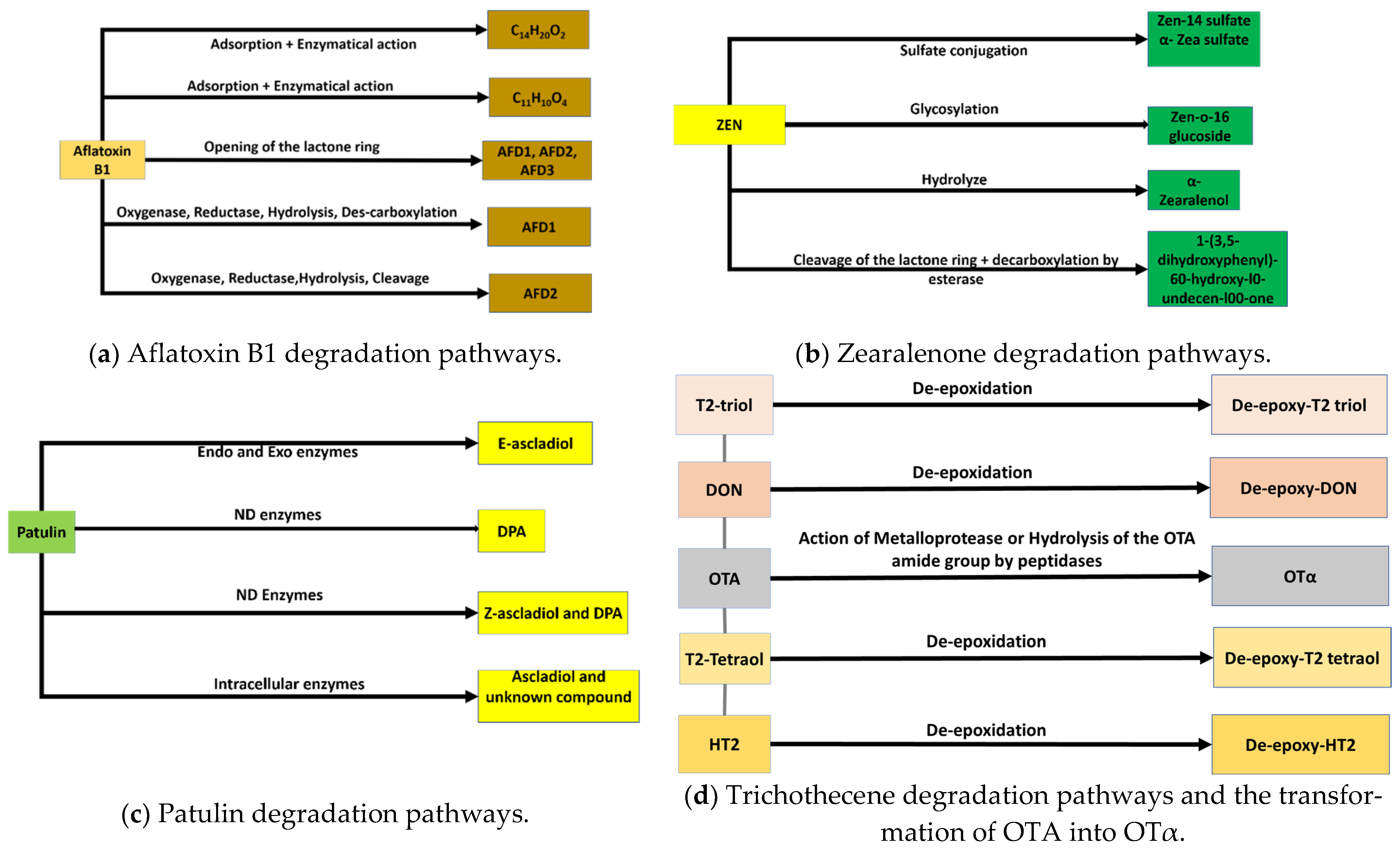 Toxins 14 00729 g003