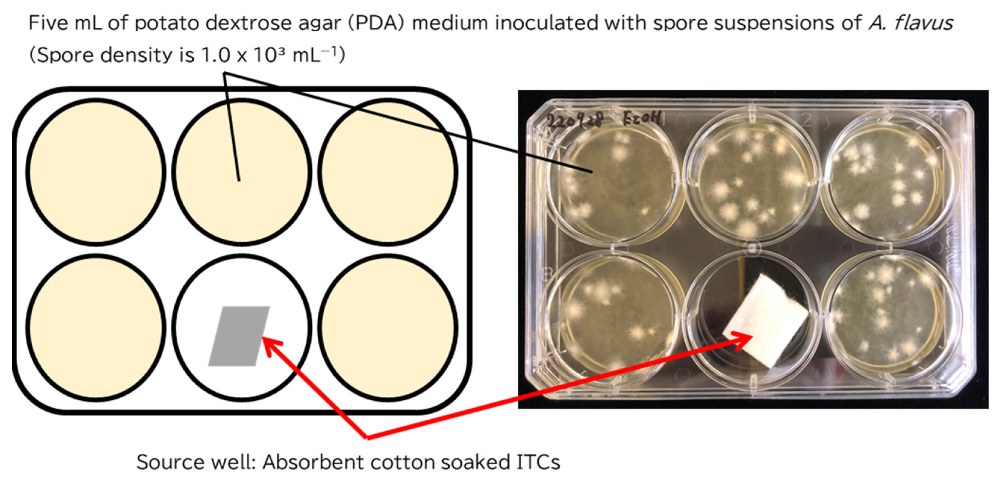 Toxins 14 00756 g004 Toxins 14 00756 g004