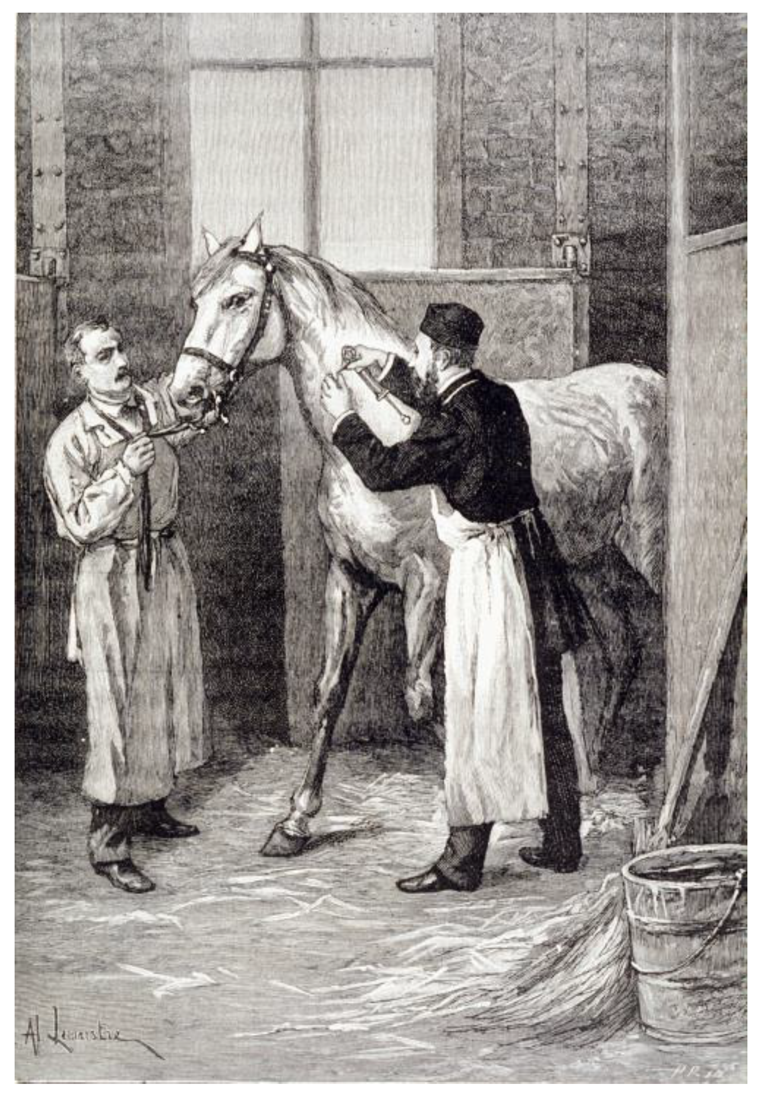 Toxins 14 00759 g002