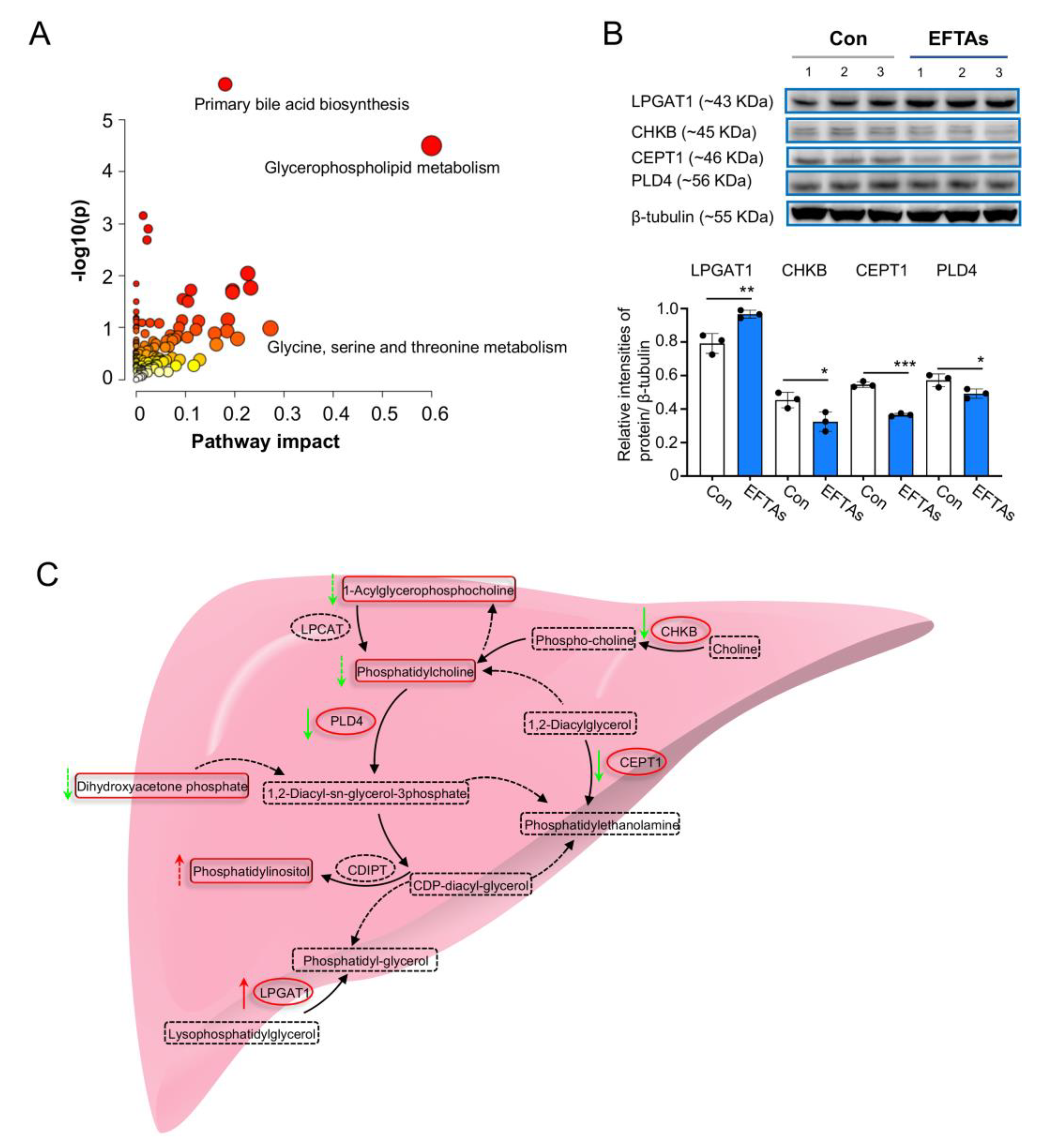 Toxins 14 00765 g006 Toxins 14 00765 g006