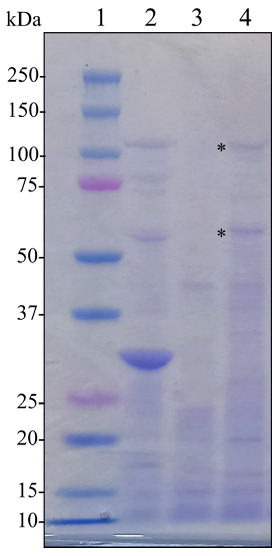Toxins 14 00768 g002 Toxins 14 00768 g002