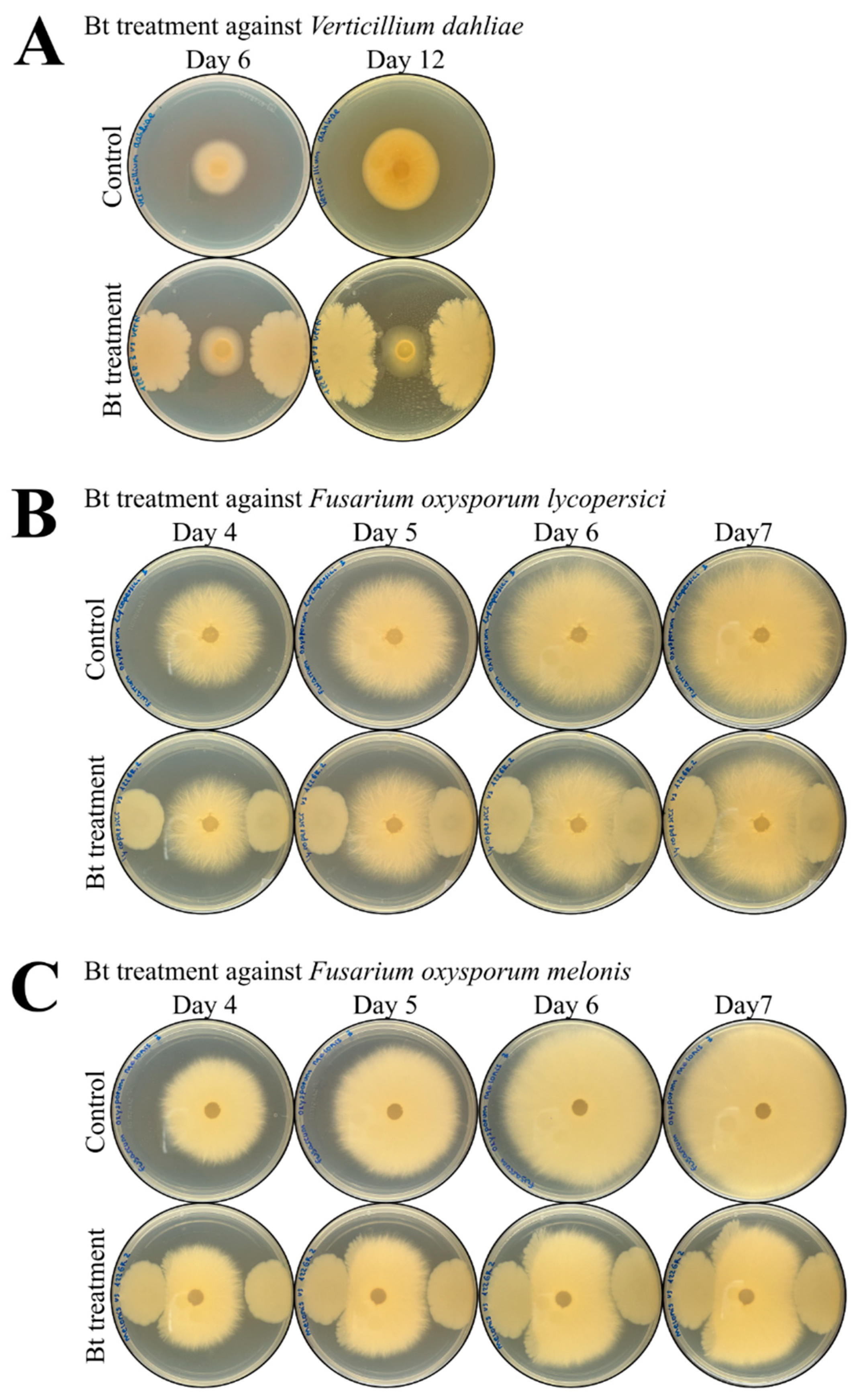Toxins 14 00768 g005 Toxins 14 00768 g005