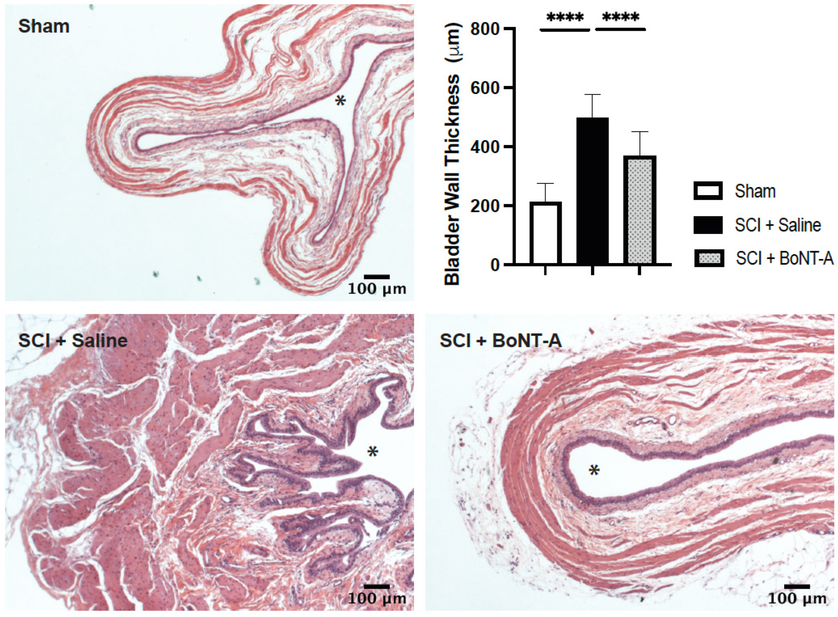 Toxins 14 00777 g002