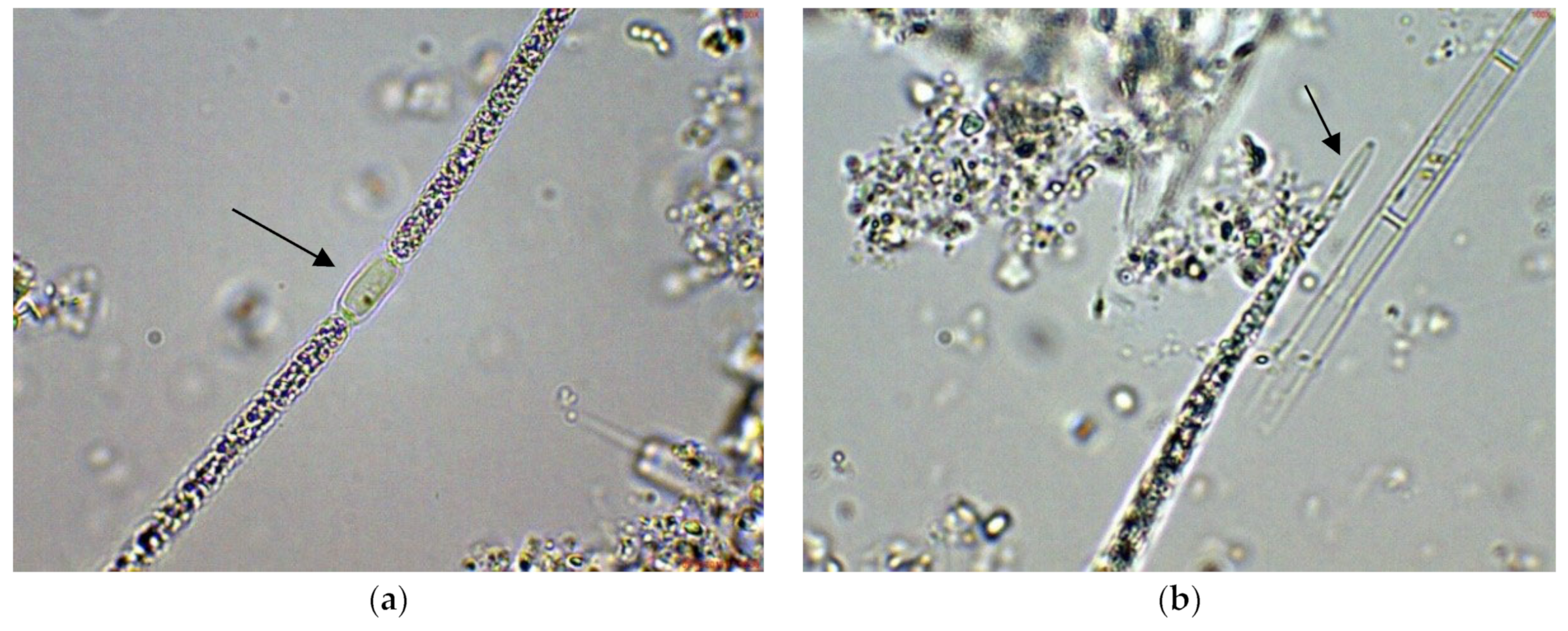 Toxins 14 00778 g001a
