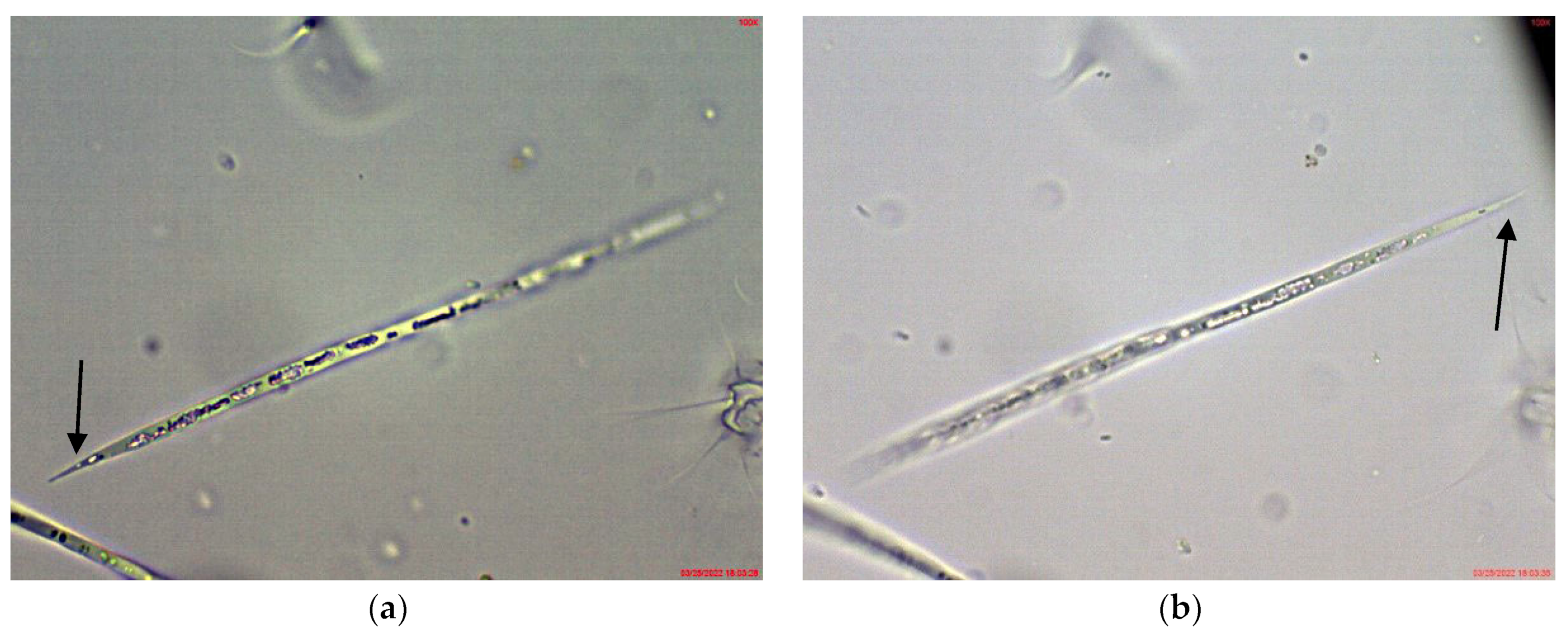 Toxins 14 00778 g004