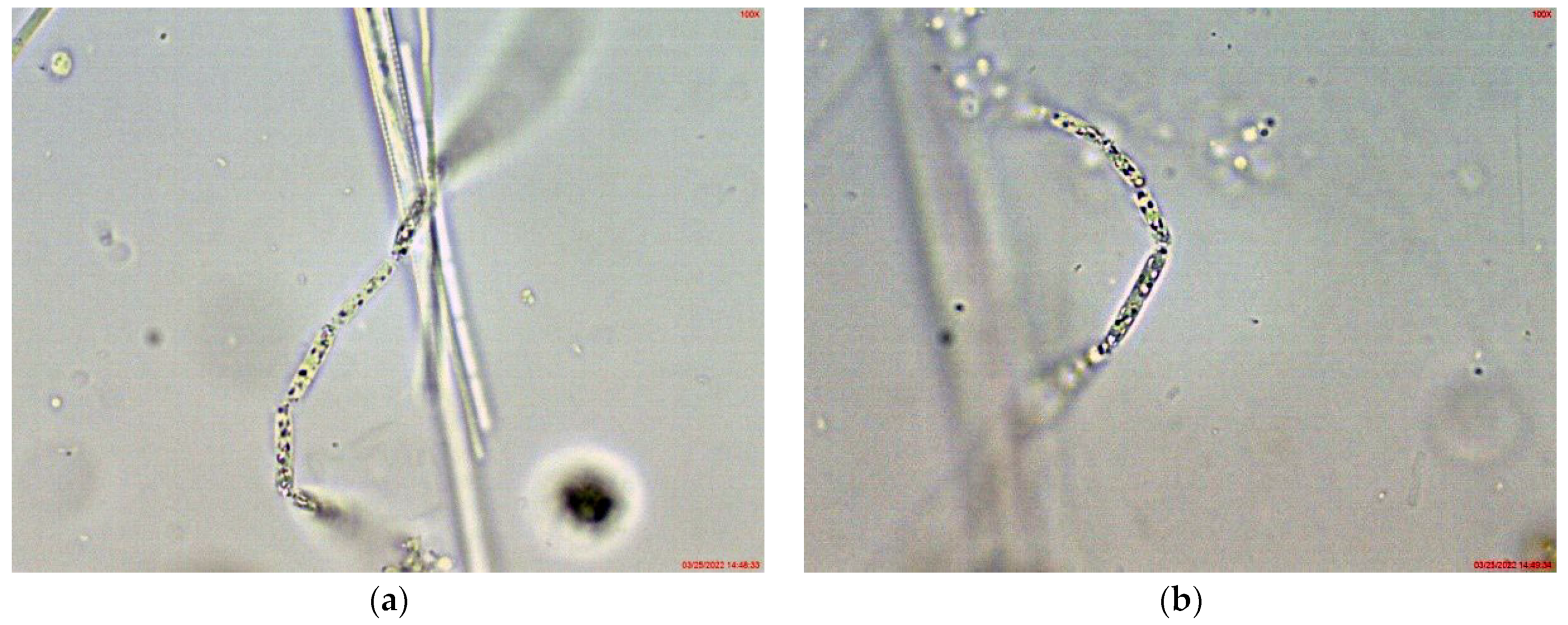 Toxins 14 00778 g005
