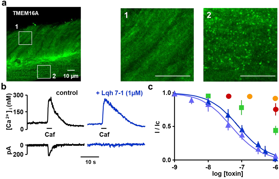 Toxins 14 00780 g003