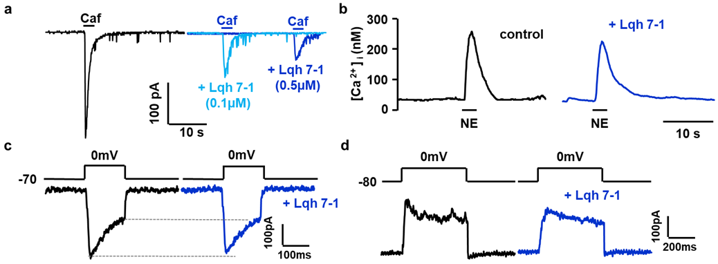 Toxins 14 00780 g004