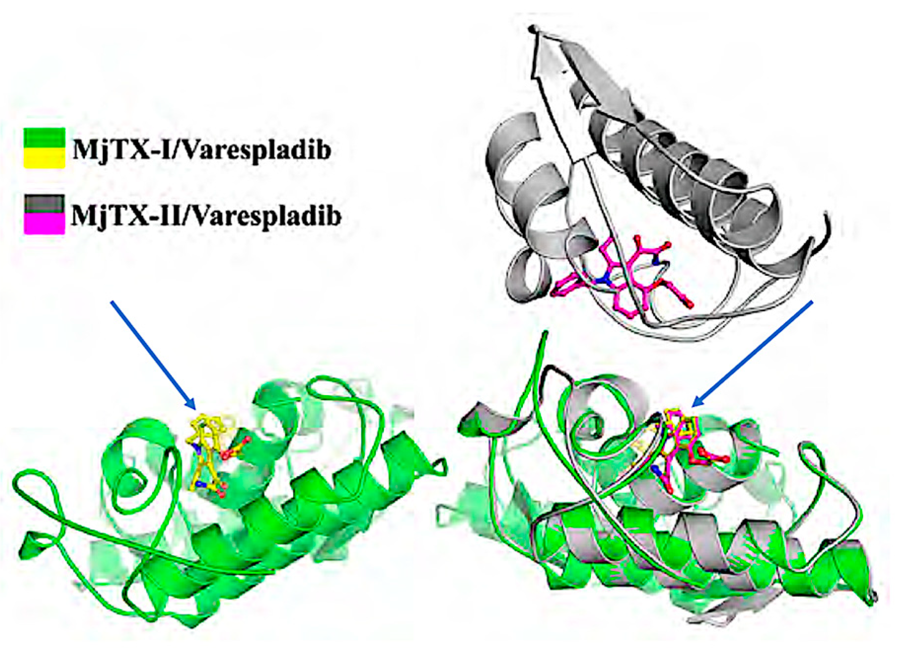 Toxins 14 00783 g003