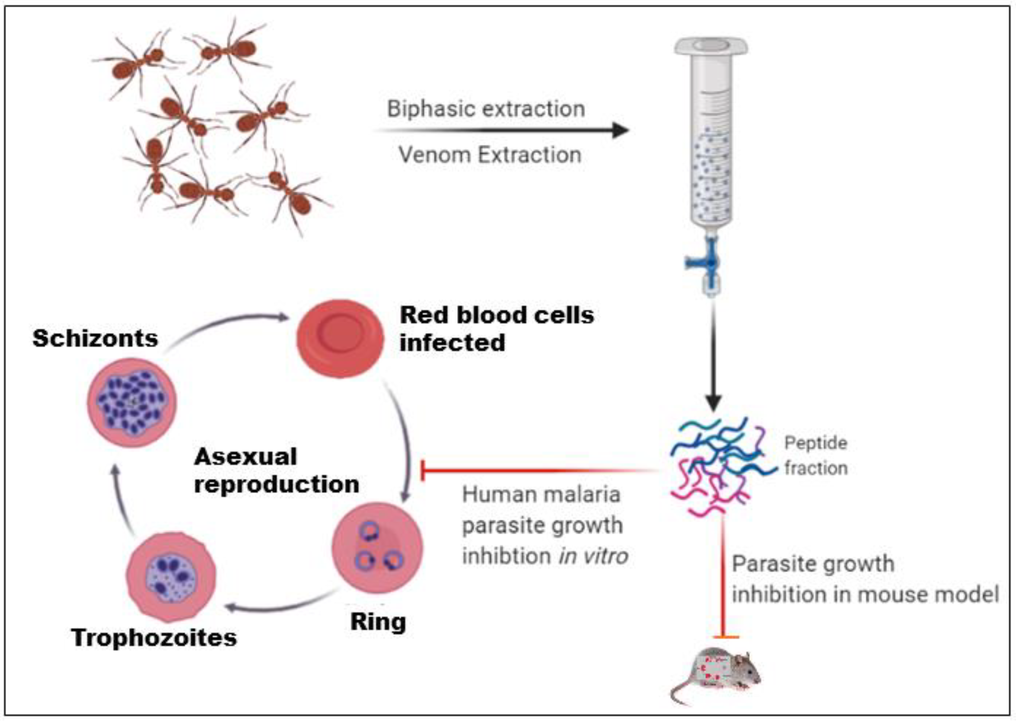 Toxins 14 00789 g005 Toxins 14 00789 g005