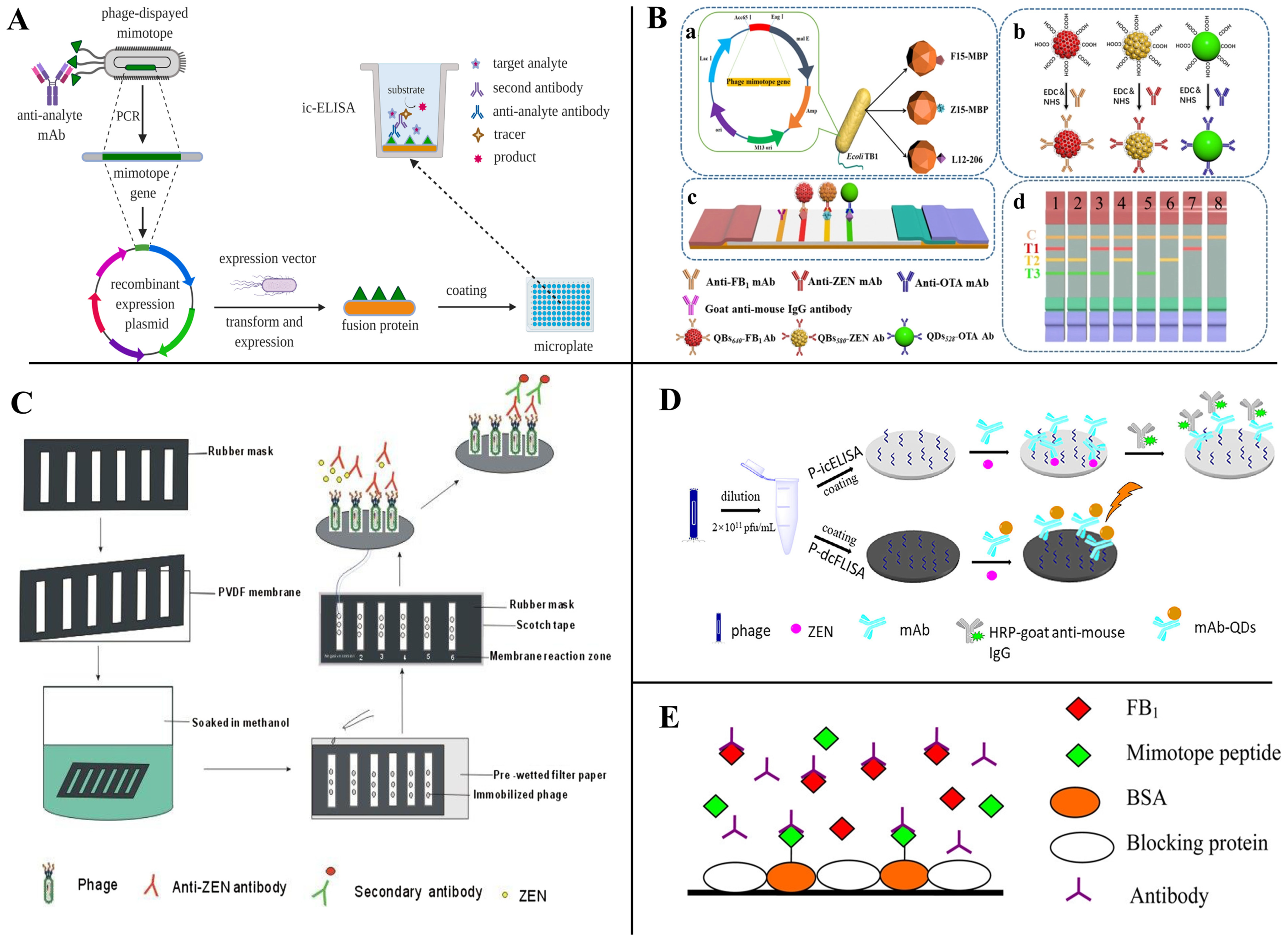 Toxins 14 00795 g006