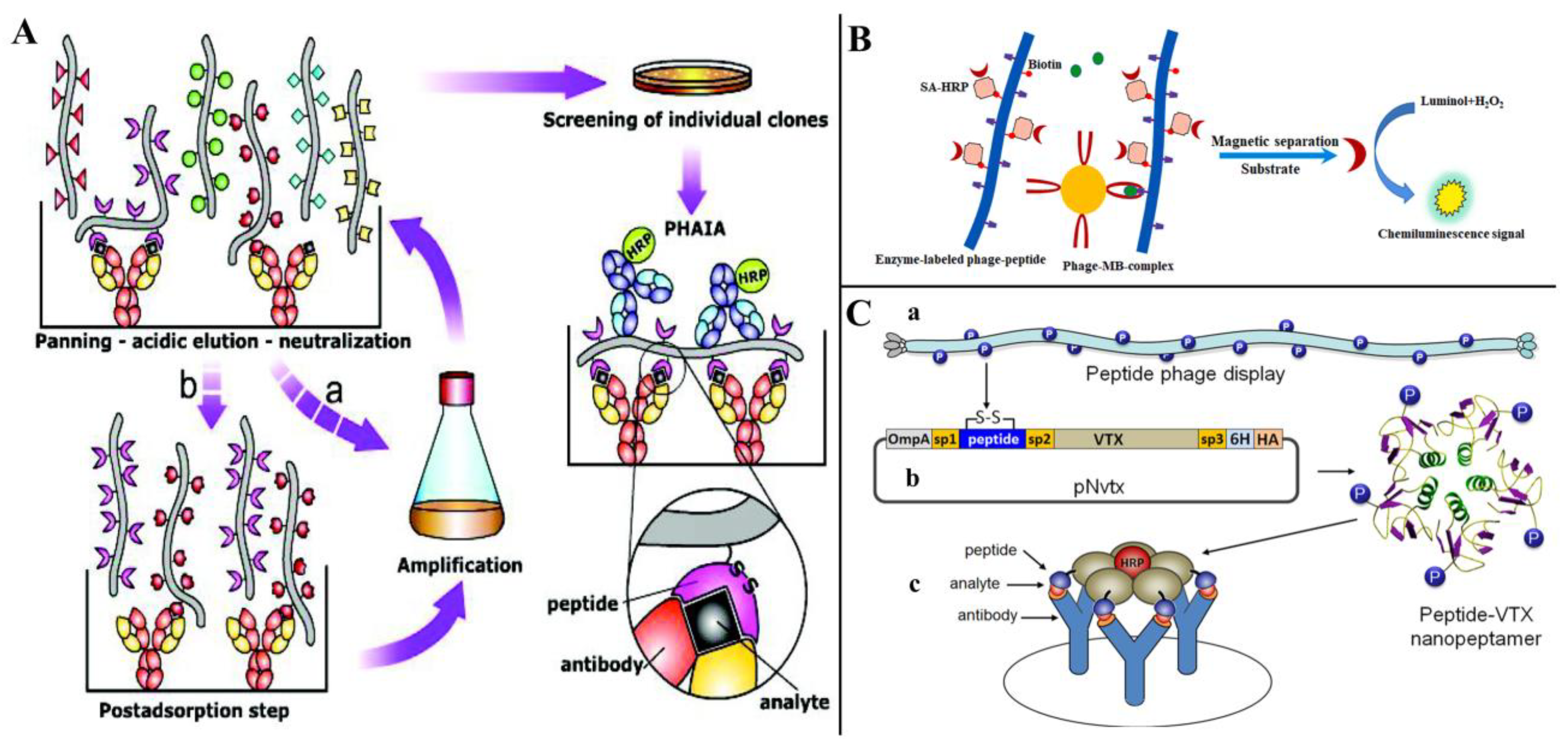 Toxins 14 00795 g007